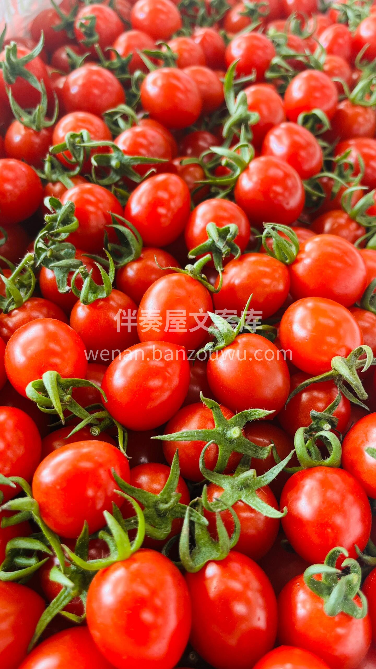 🔥🔥每天必吃的水果👉玲珑千禧果🍅富含大量 配图3