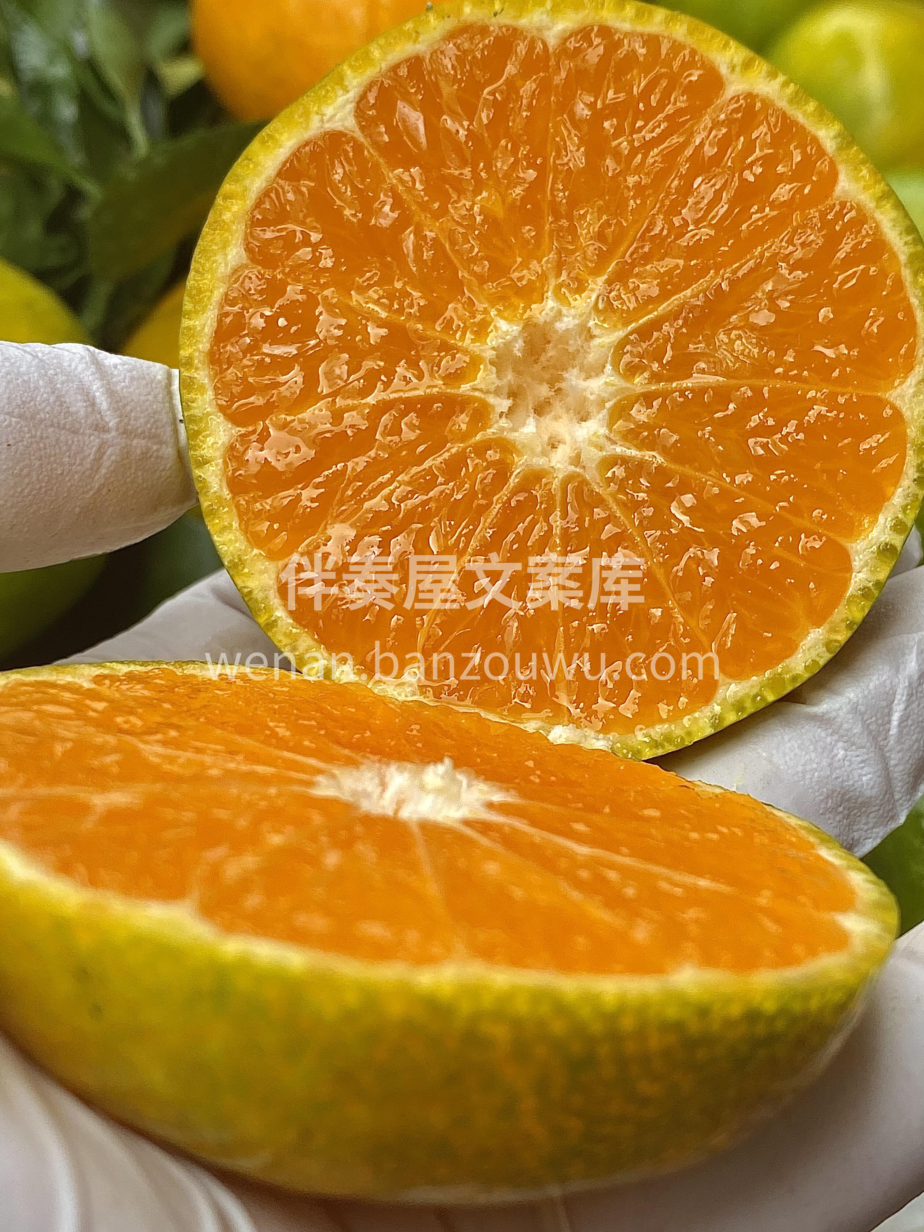 云南蜜橘🍊 皮超薄，水多肉嫩不酸❗️口感 配图1