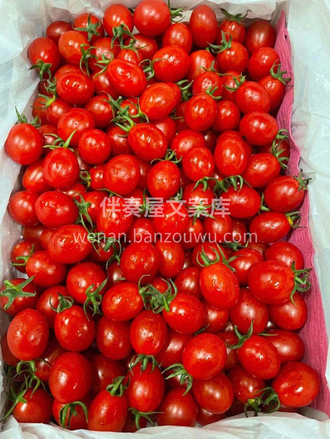过年大鱼大肉吃多了🐟 赶紧安排点小番茄吧 配图3