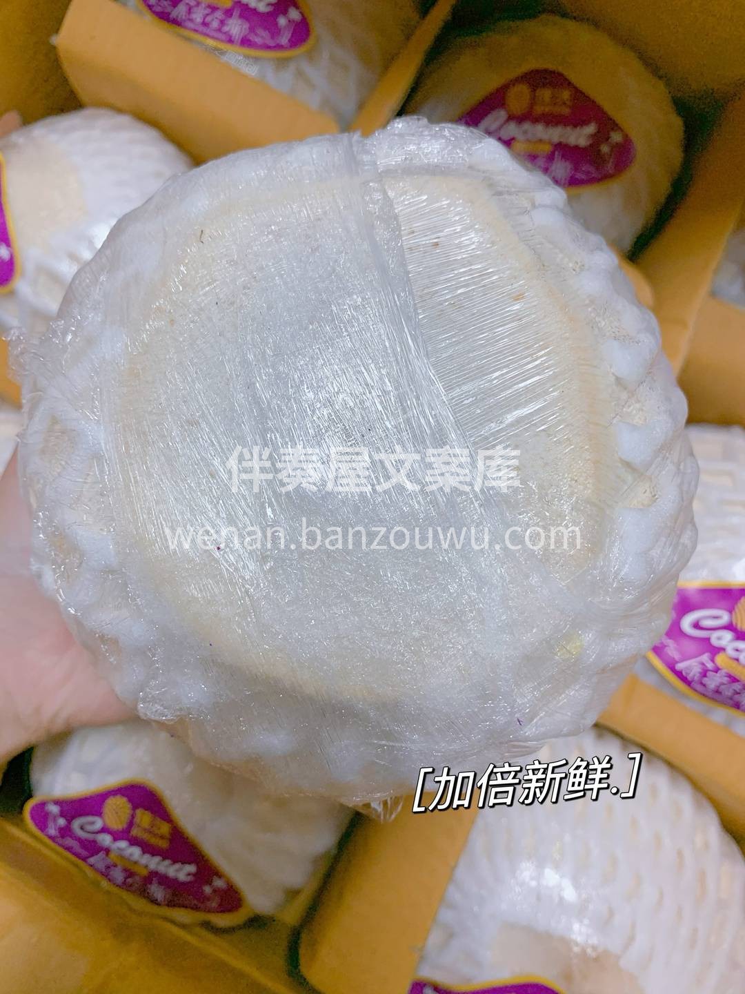 👉做一个完美的开椰子工具人，你喝我来开！ 配图1