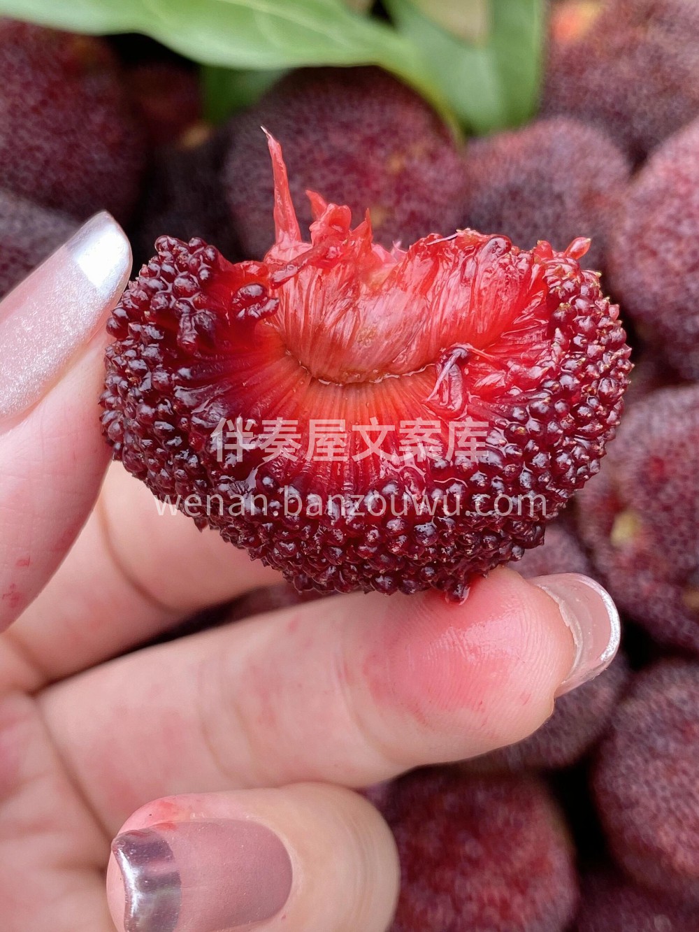 🌸初夏的季节🔆 ，来一颗酸甜爽口的“果汁 配图1