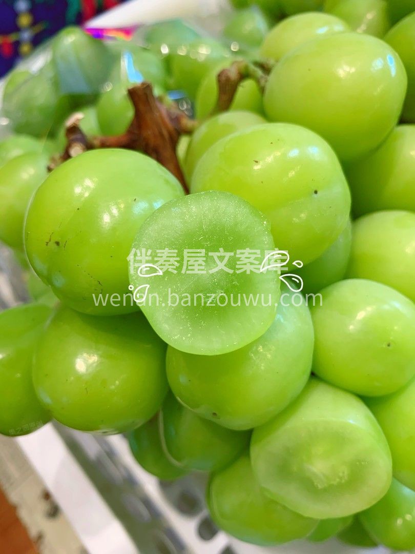 ?薄薄果皮晶莹剔透，轻轻一捏果肉，莹莹汁 配图2