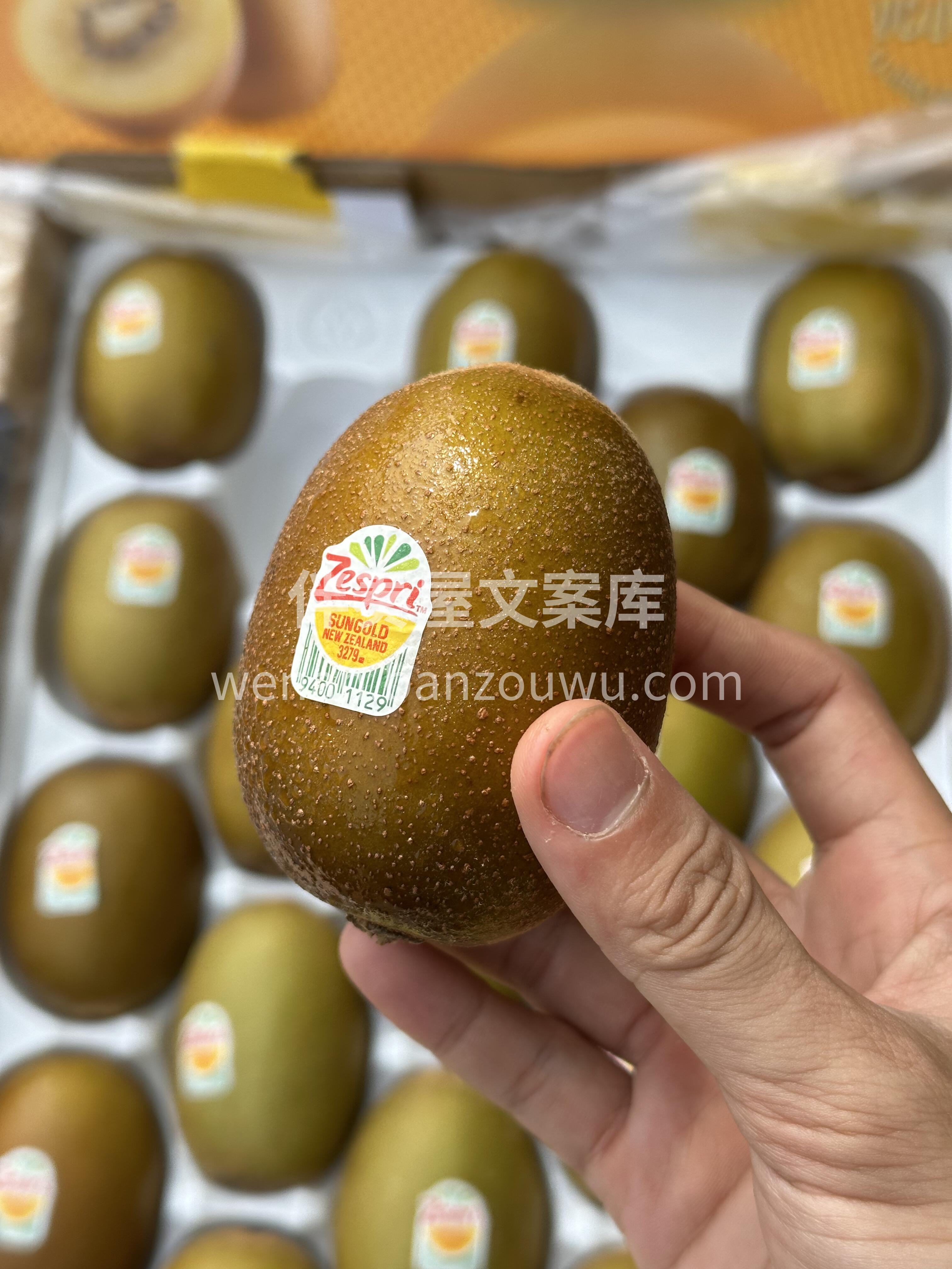 20℃+的气温搭配上明媚的阳光🌤️，让人 配图2