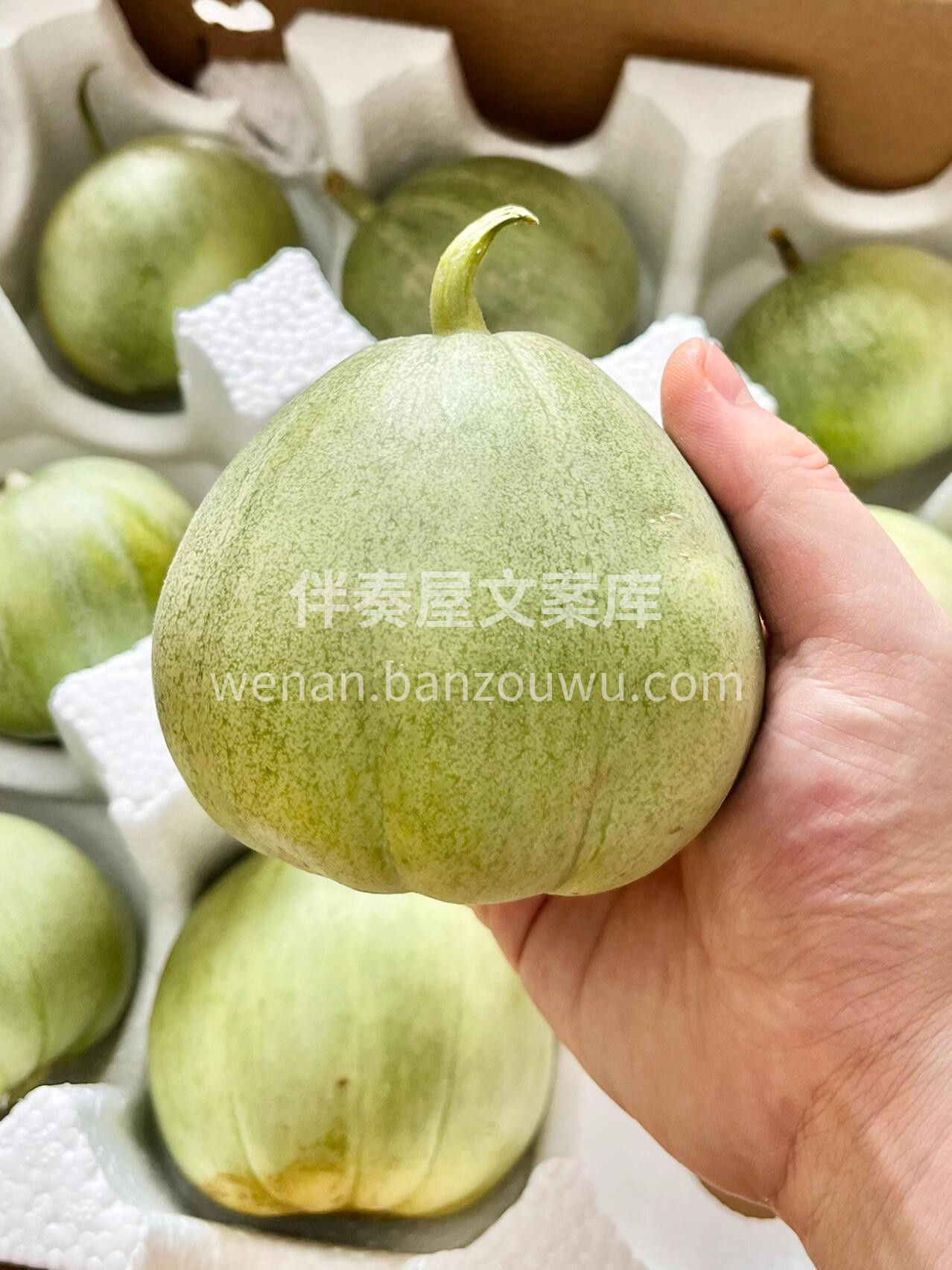 向来无瓜不欢🤗 更何况是汁多水甜的绿宝甜 配图3