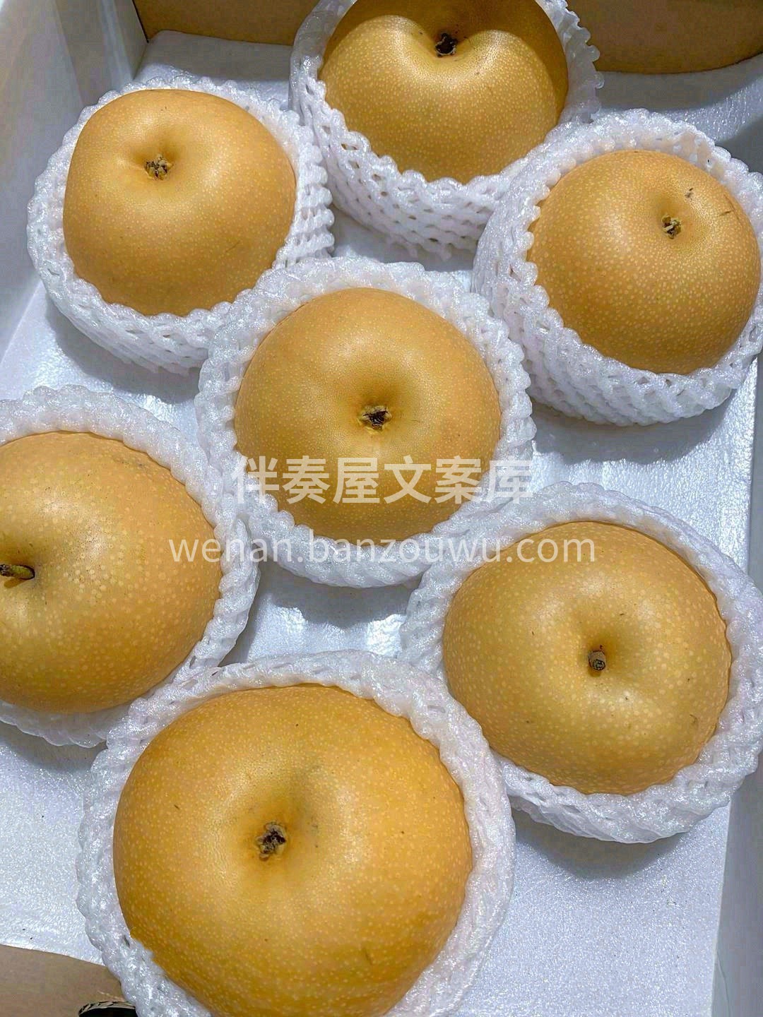 🍂秋月梨如此让人念念不忘😍 是因为它在清 配图3