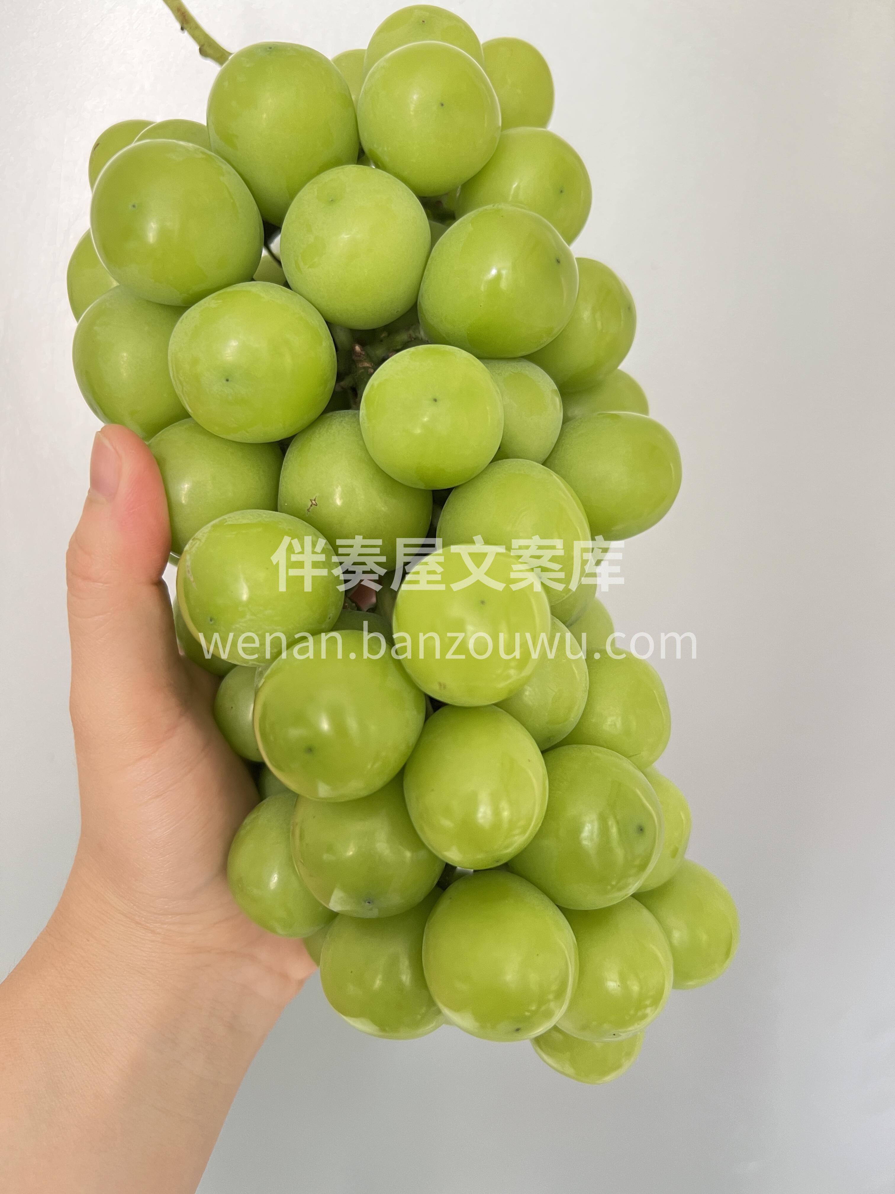 这个时节的晴王最甜✔️✔️ 正所谓：不吃 配图2
