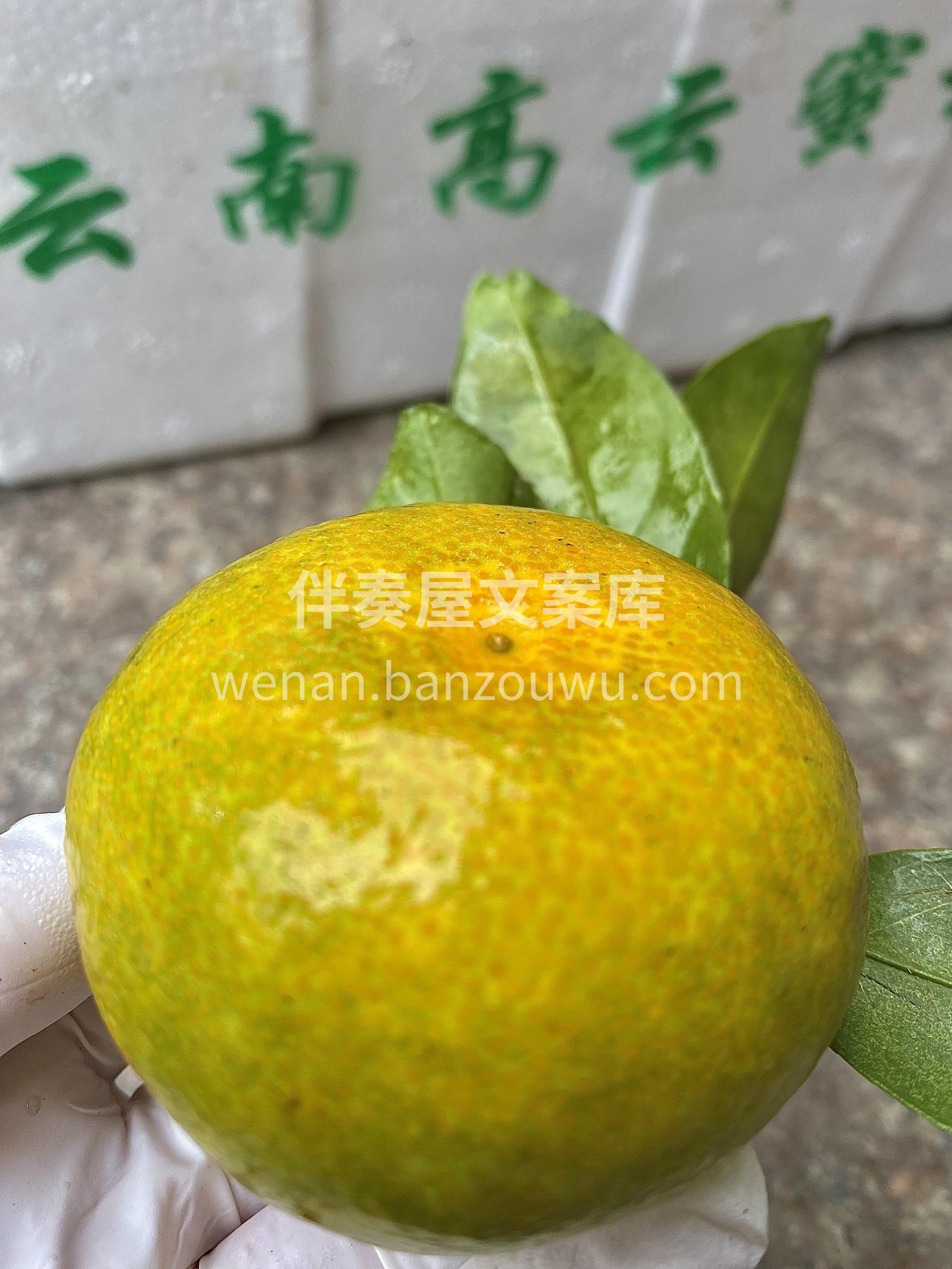 今日份----新鲜蜜橘🍊 太惊喜了😎，皮 配图3