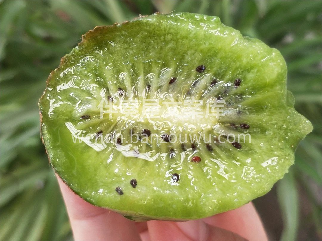 🥝猕猴桃.细腻，沙甜，多汁 唯一不能错过 配图1