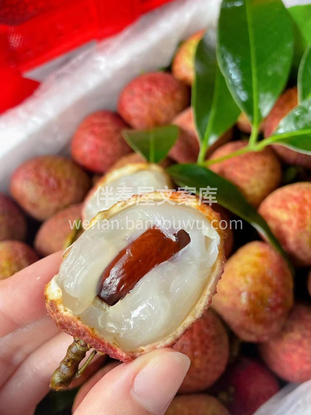 ✨桂味荔枝上线啦！ 壳薄核小，果肉晶莹如 配图2