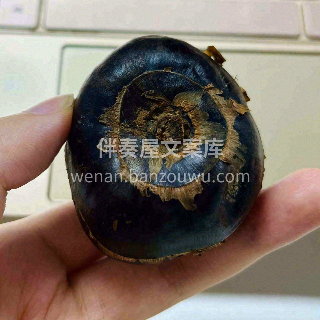 👆荸荠又叫马蹄🔸清香🔸松脆🔸透明🔸味甜, 配图2
