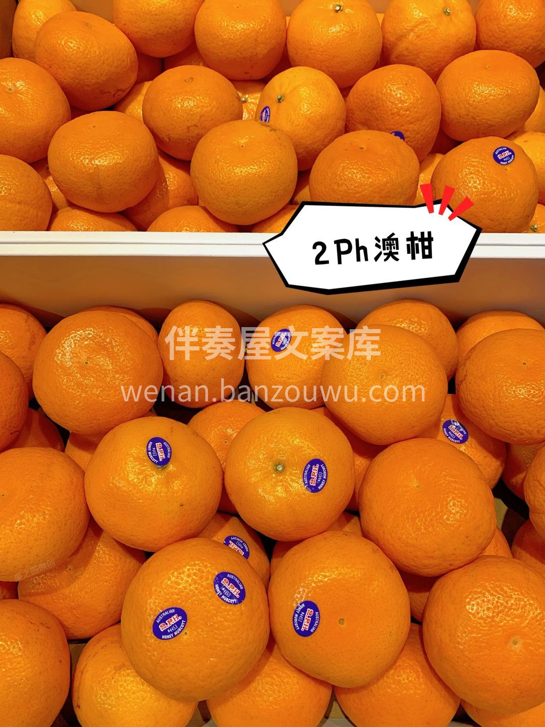 👉真正的2PH澳柑每一颗果实都堪称“无暇 配图3