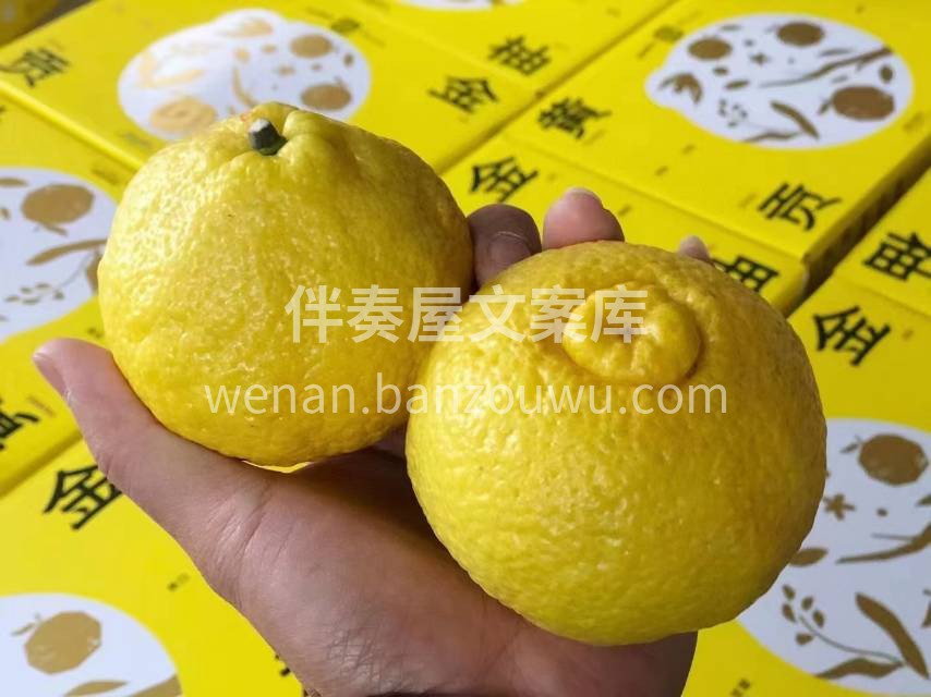 黄金贡柚🍊礼盒到货！ 色泽浅黄，闻起来有 配图2