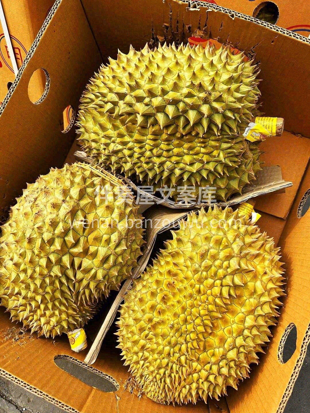 果实丝般光滑嫩黄?，仿佛盛开的花朵?；  配图2