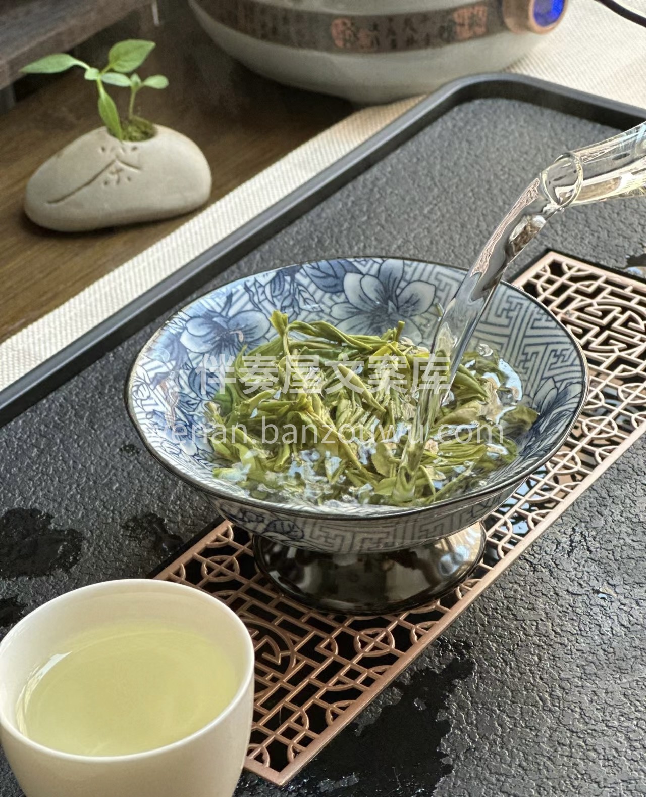 一定要多喝茶，总会有好茶向你奔赴，就像保 配图1