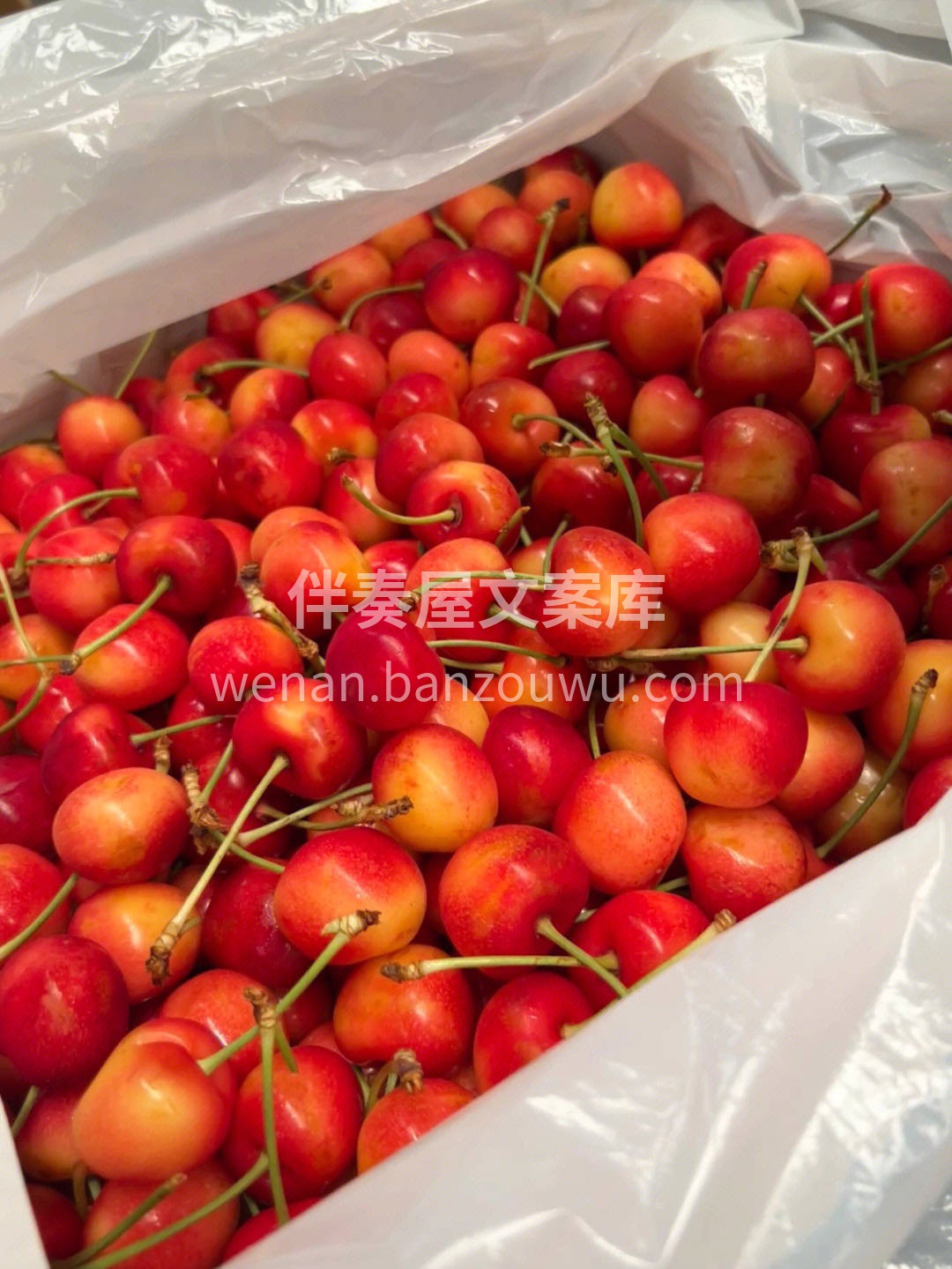黄金车厘子🍒口感堪称完美，超级脆甜，甜度 配图2