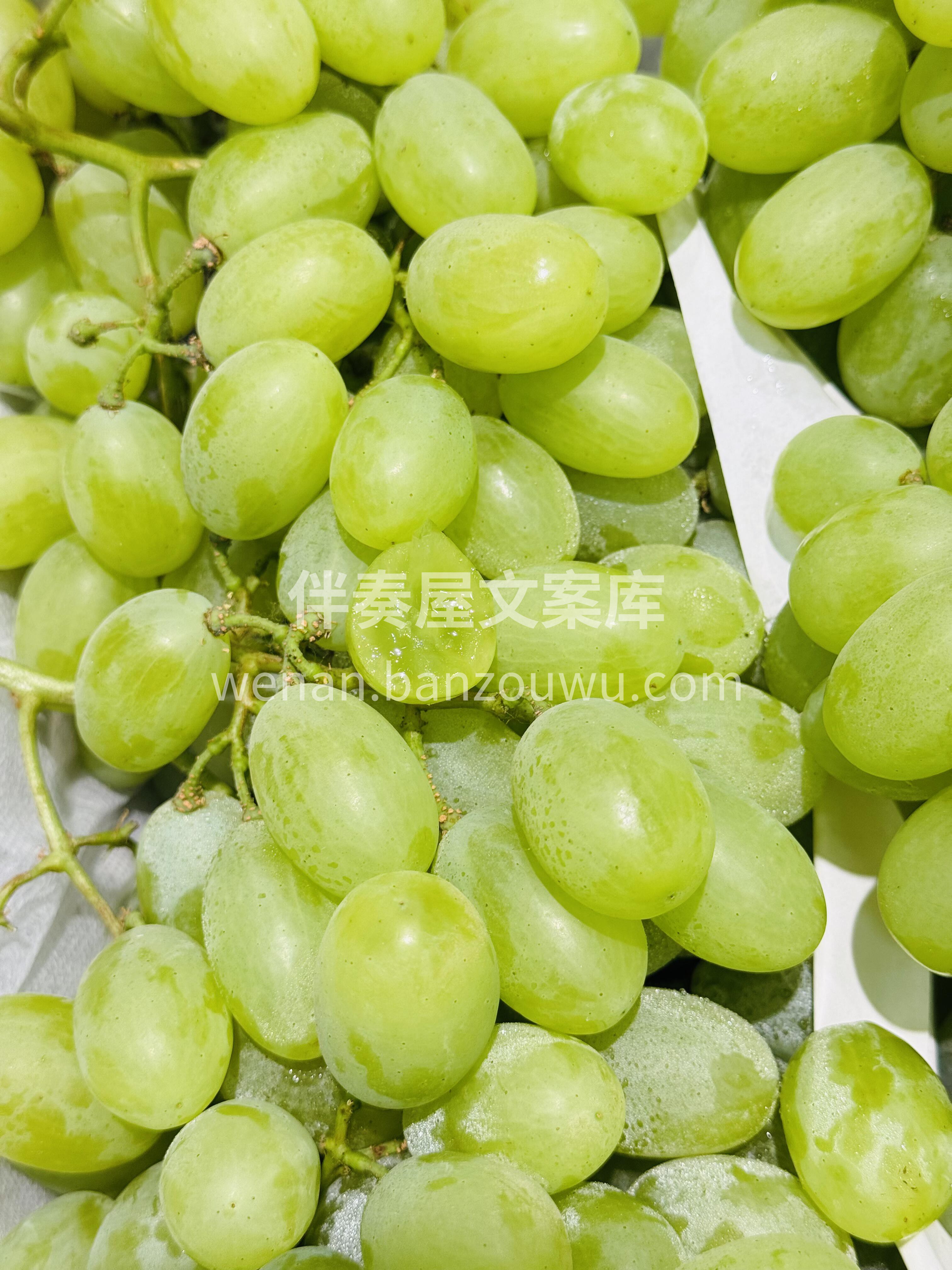 维多利亚青提🍇 夏日里的一抹清新✨ 串串 配图1