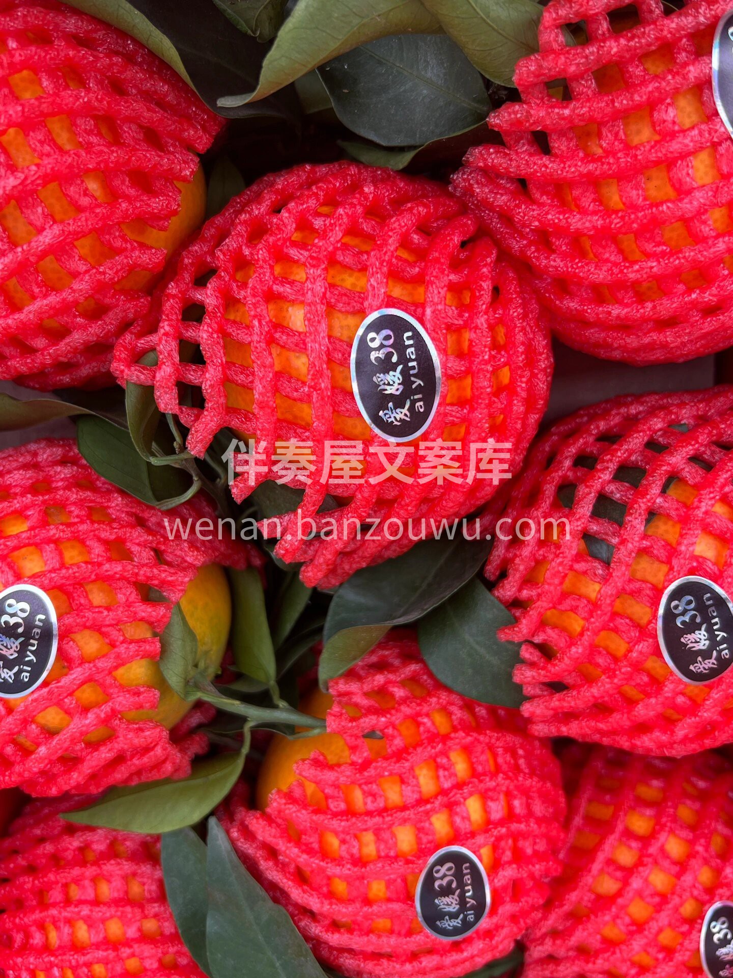 ☘️爱媛橙🍊 现在的爱媛外皮和果肉颜色🍁 配图3
