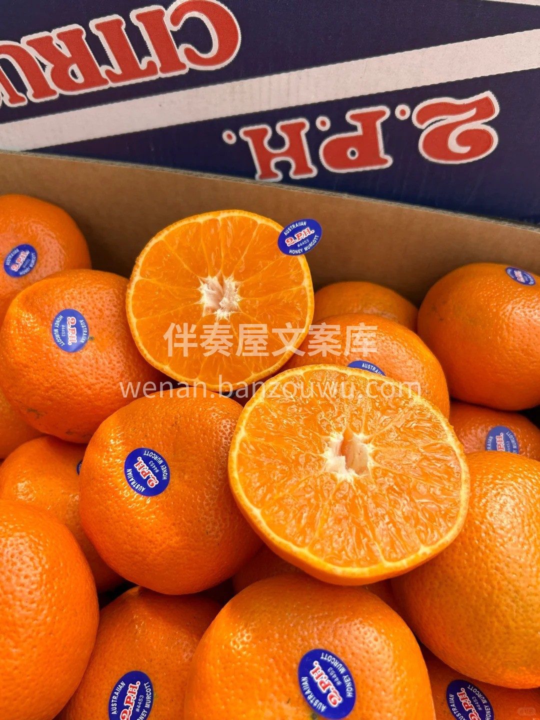 『澳洲2ph澳柑』水果芬达🍊🍊特别冷藏后 配图1