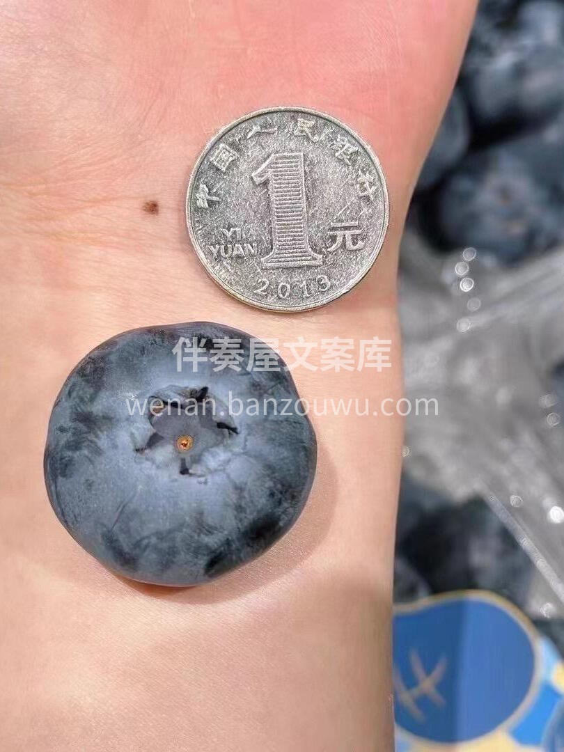 超大果蓝莓 🫐 护眼神器 天然新鲜、饱满 配图1