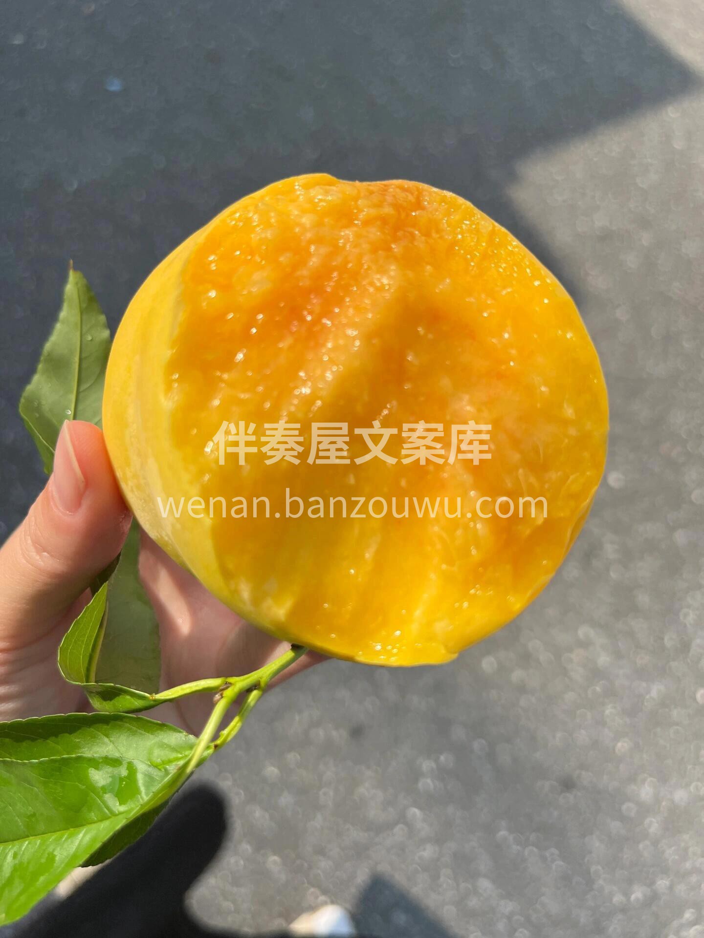 这黄桃甜的上头了🥰 🍭一口爆汁的“甜蜜炸 配图3