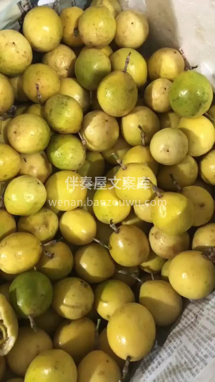 自带蜂蜜味的VC“美白丸”百香果界的天花 配图2