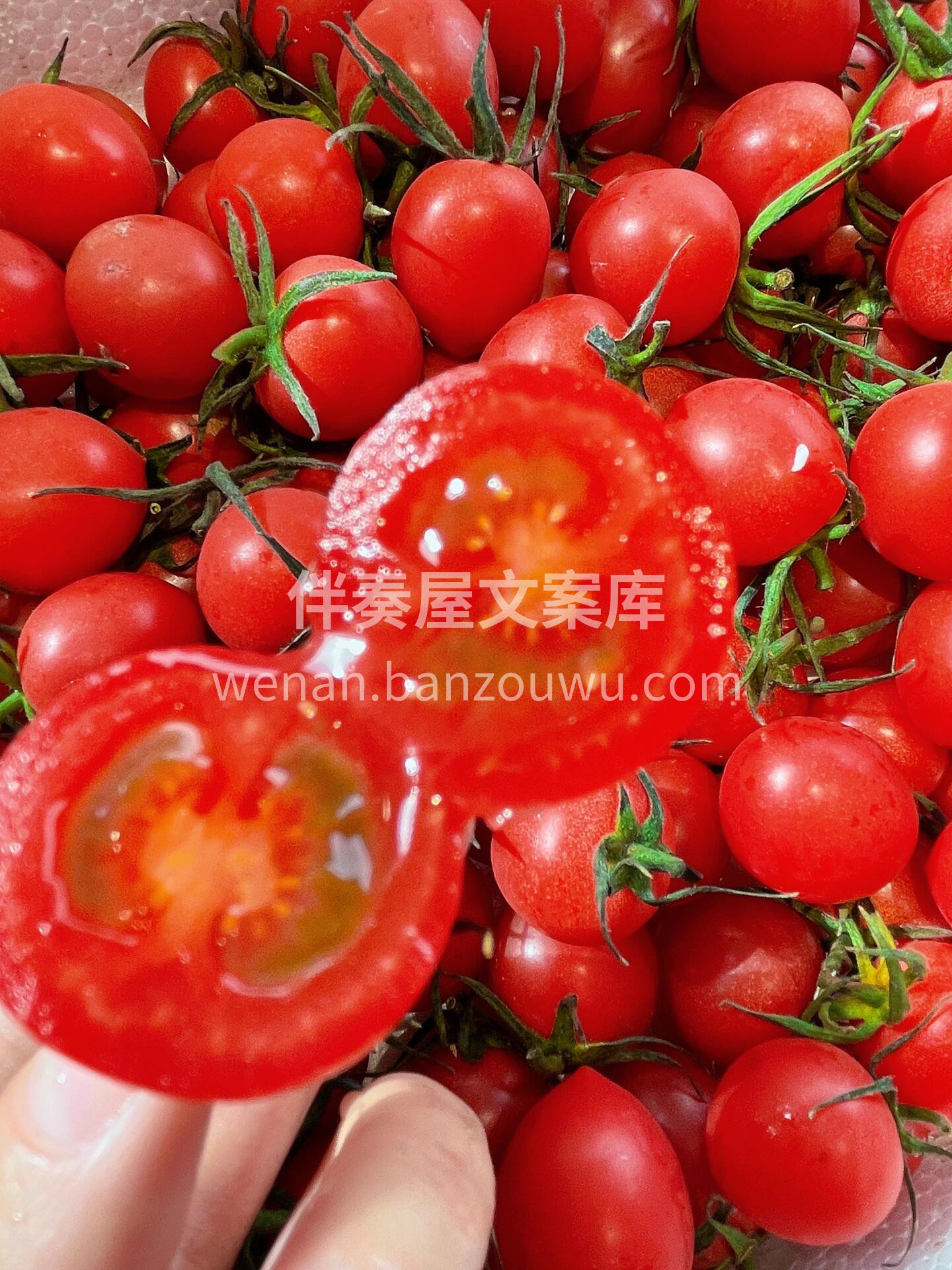 千禧🌿小番茄🍅 爆浆快感，吃过都称赞哦~ 配图2