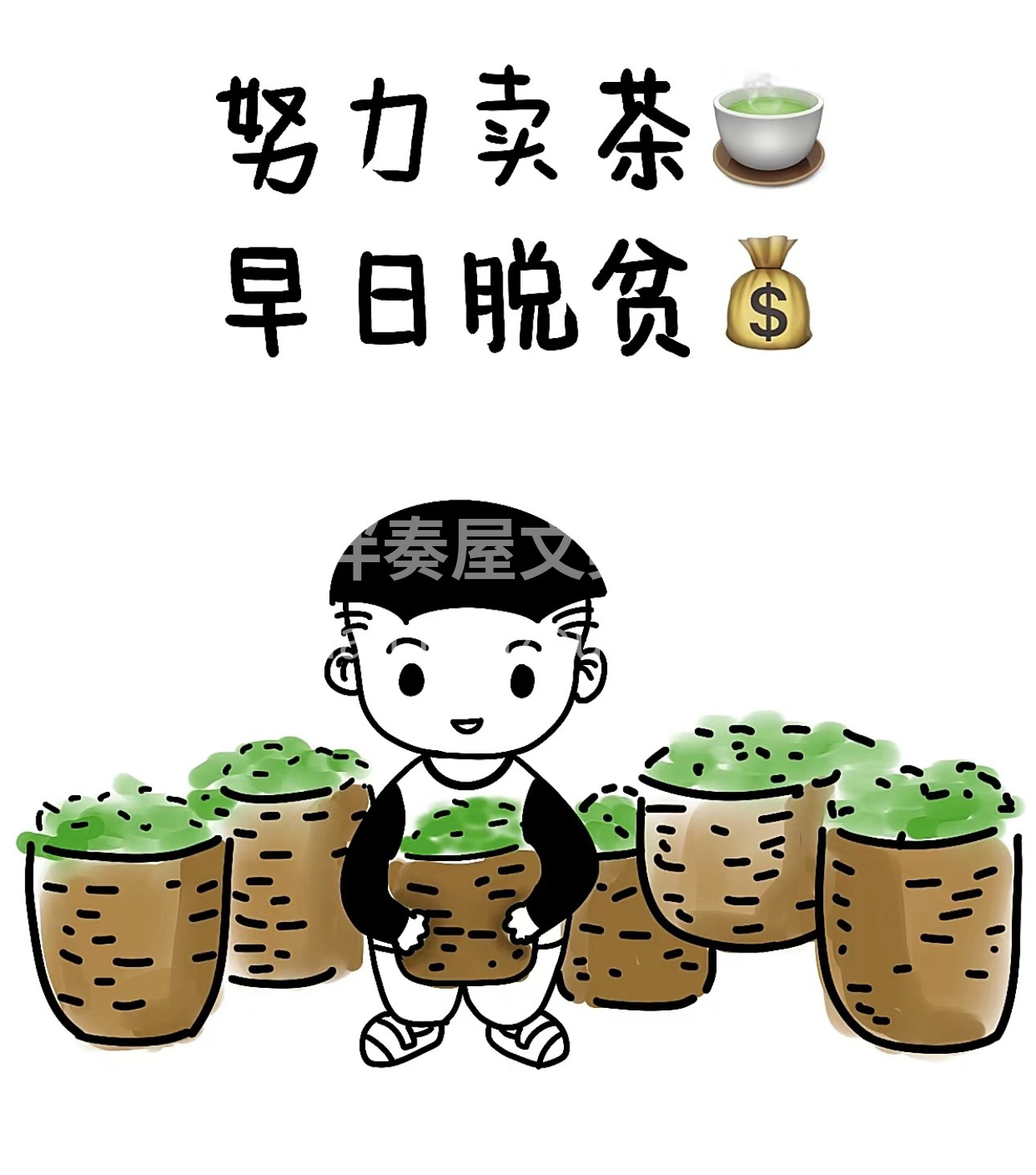 茶香袅袅，岁月悠悠。我们的茶叶，采自高山 配图3