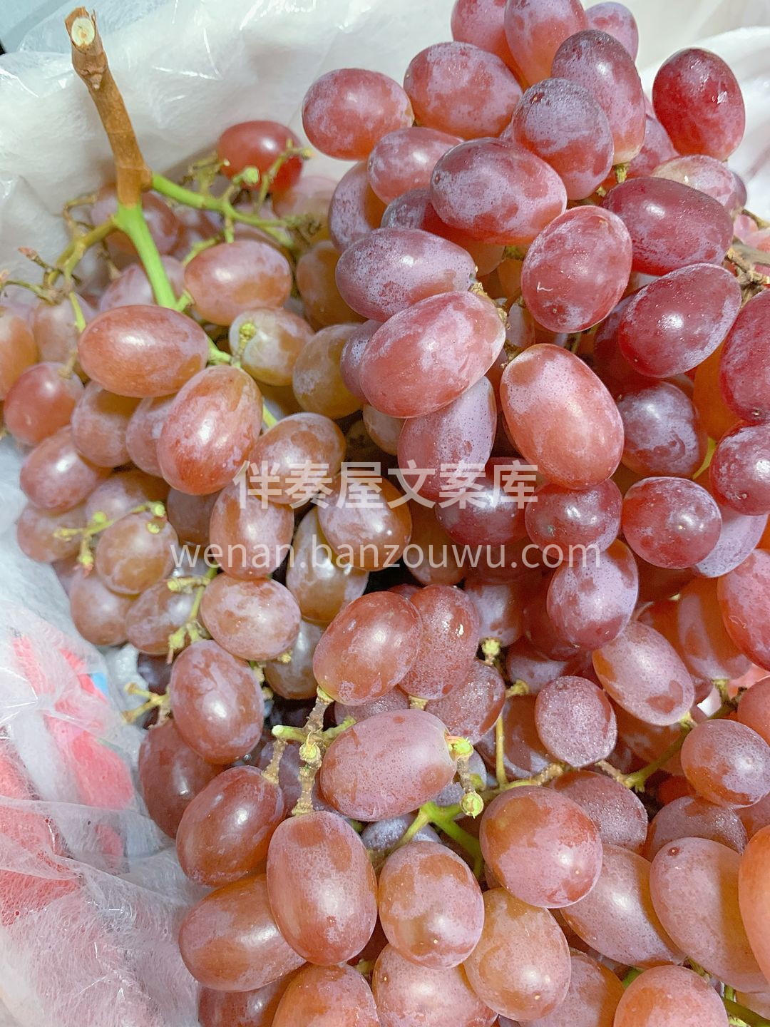 🍇🍇水果版の爆爆珠！克伦生无籽红提🍇🍇  配图3