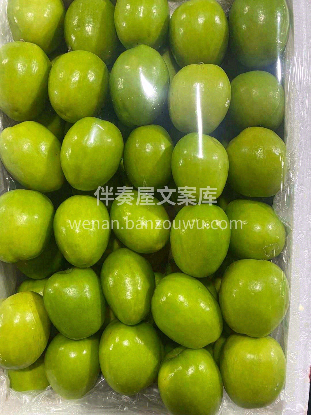 🍃青枣特别适合现在乍暖还寒的干燥天气 清 配图2