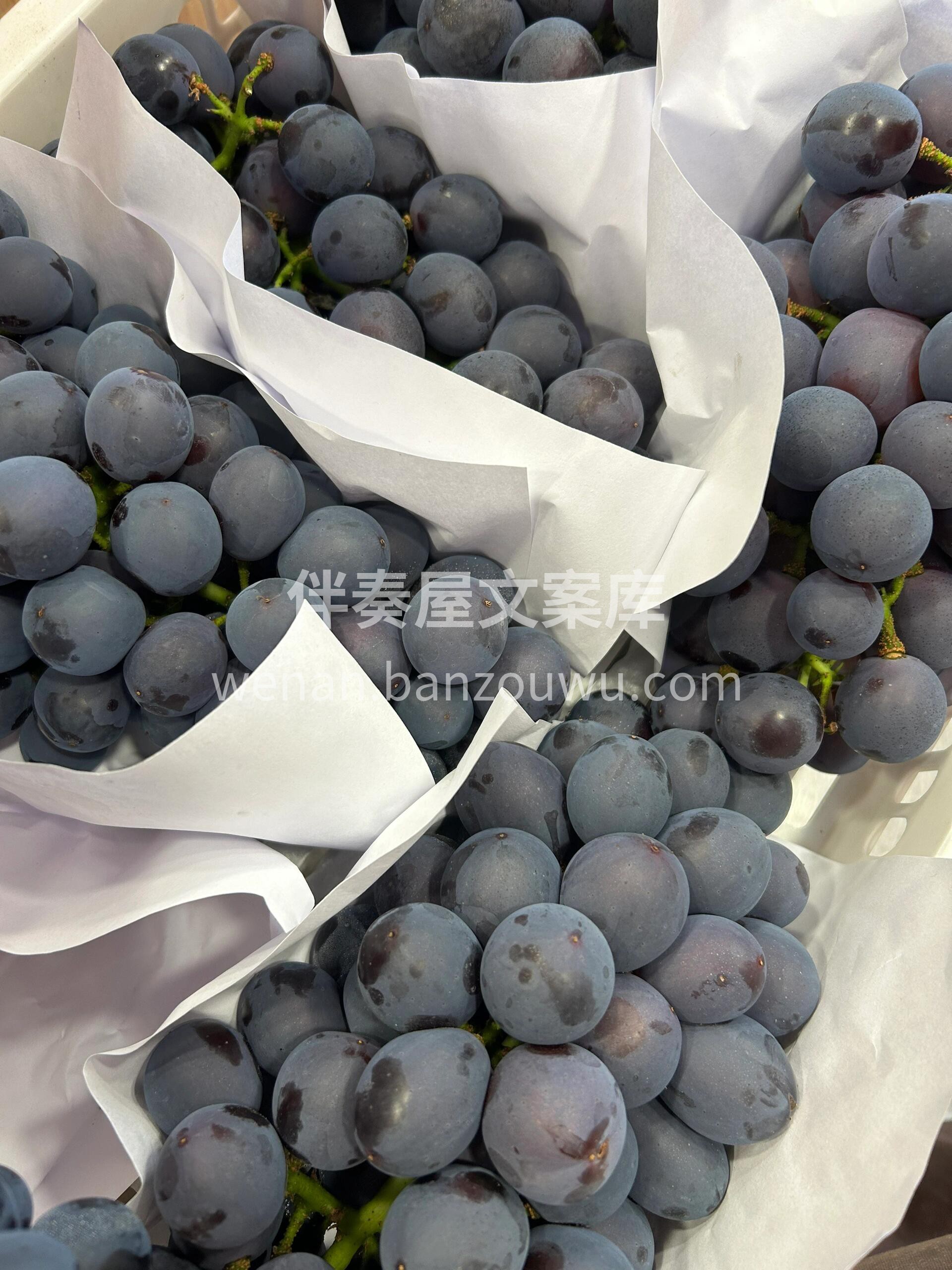 🍇夏黑葡萄简直是葡萄界的“万人迷”💃 富 配图3