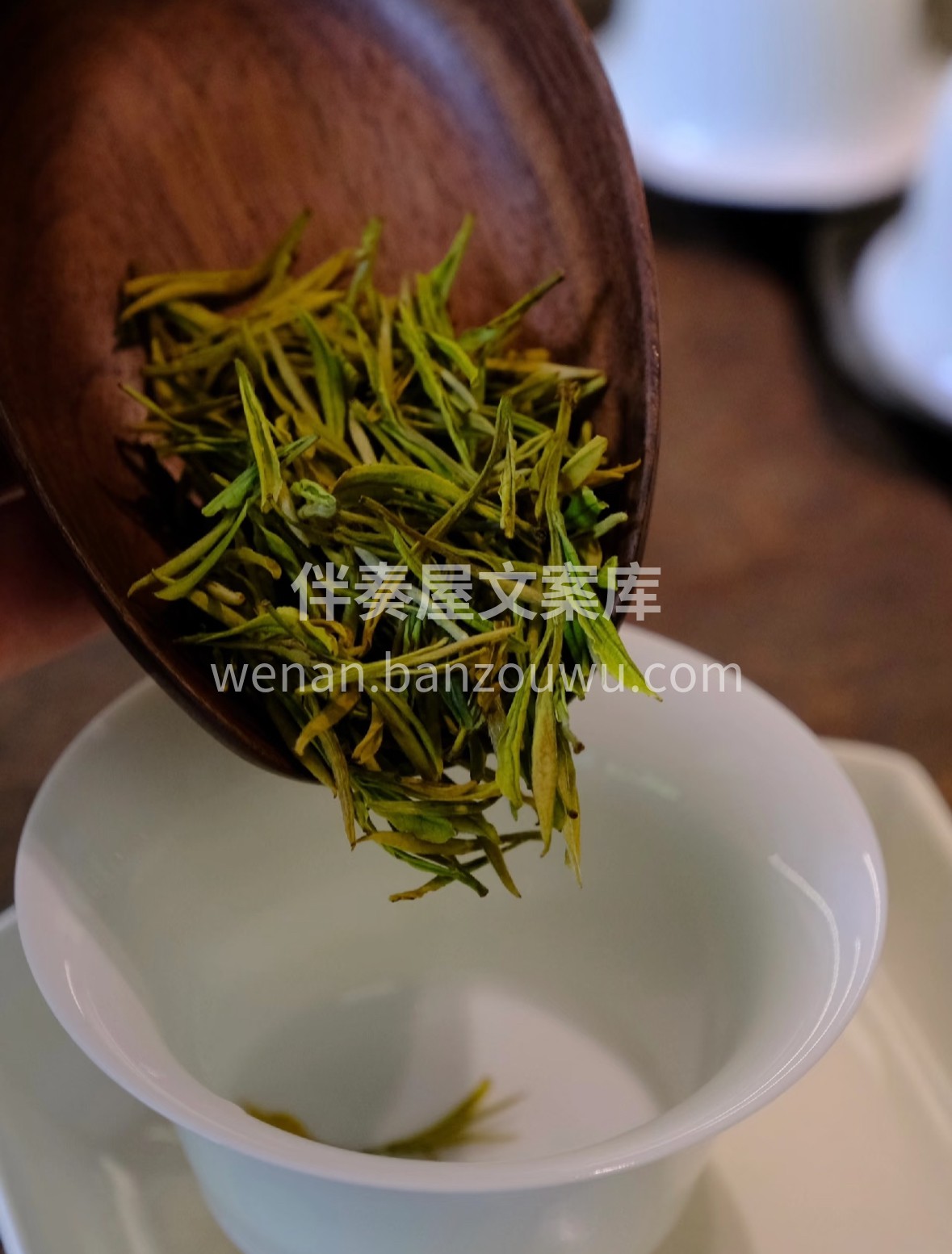 🌿 明前安吉白茶，芽叶如霜雪凝翠。沸水轻 配图1