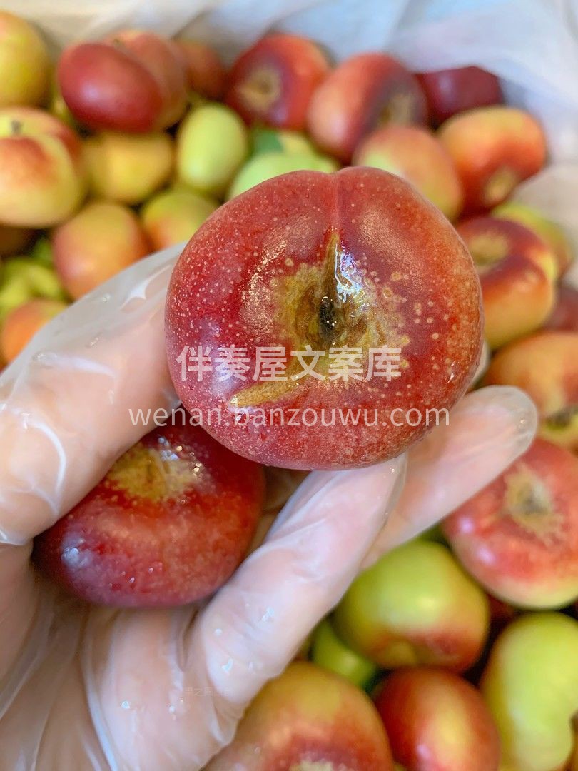 🍑纽扣油蟠桃，稀有珍品👍👍 个头迷你可爱 配图1