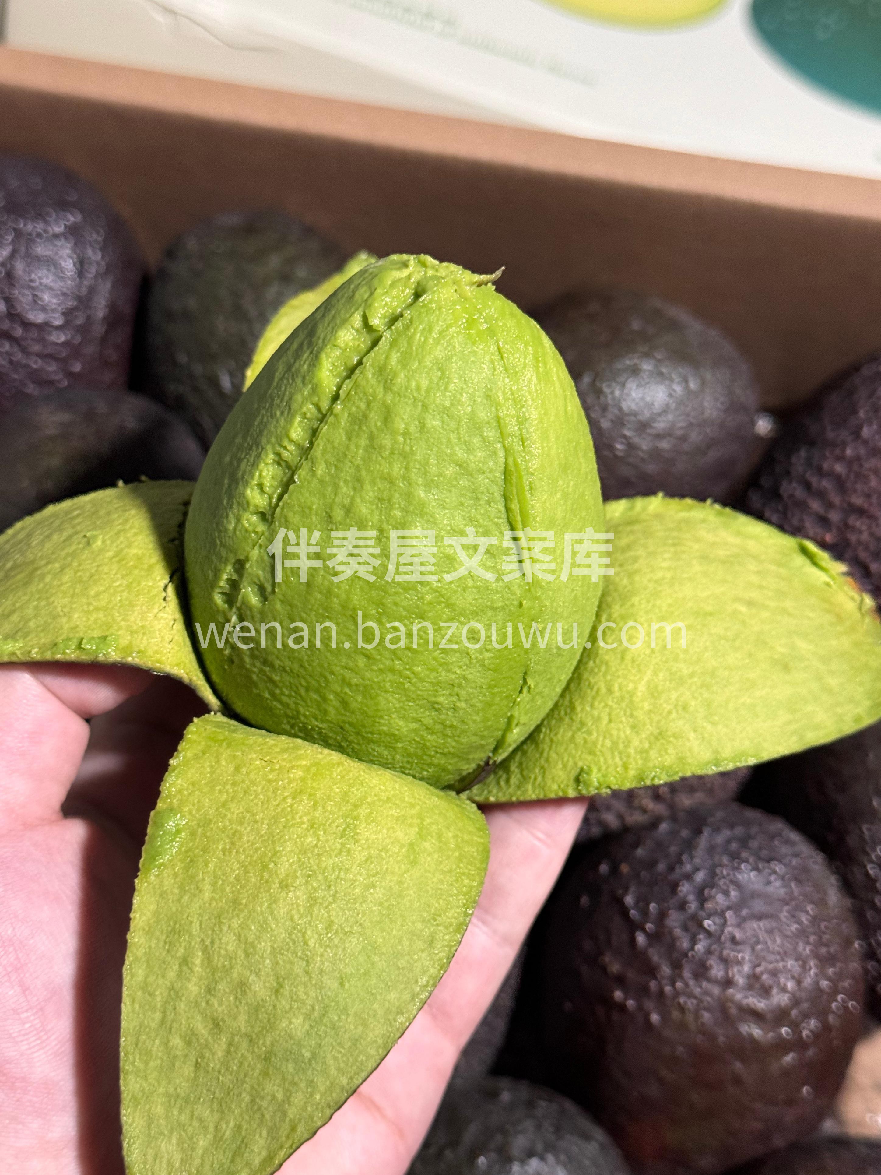 牛油果🥑全能营养大师💯 含丰富维生素和叶 配图1