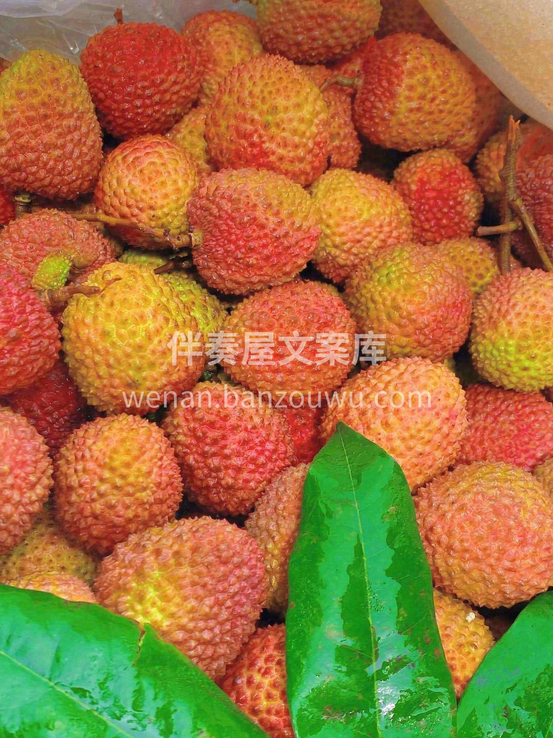 甜而不腻，爽得刚好🌈 入夏“第一颗”妃子 配图3