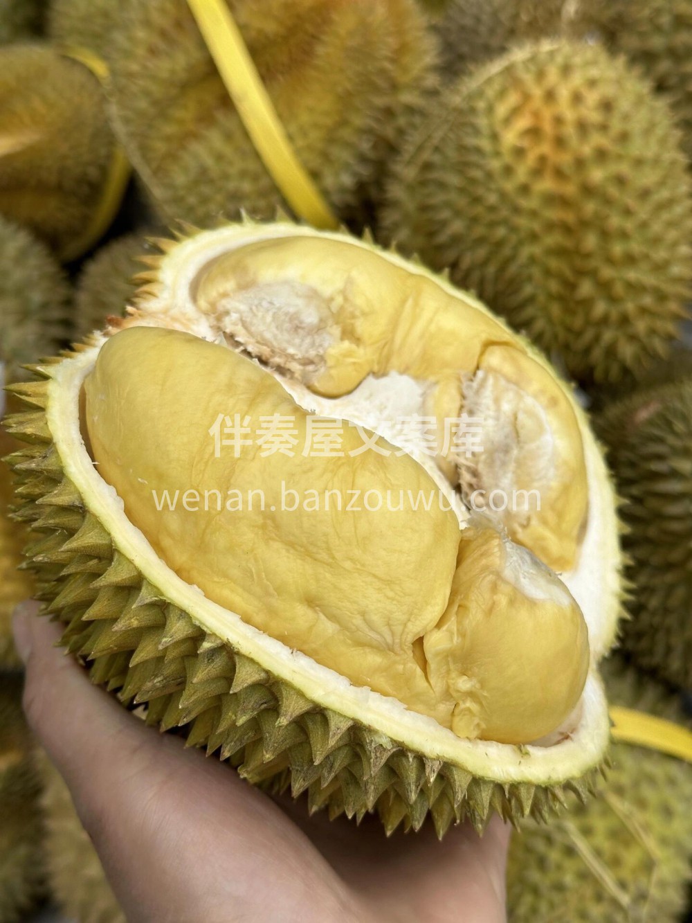 ??见到好榴莲很难不爱啊✨ ?美好时光只 配图3