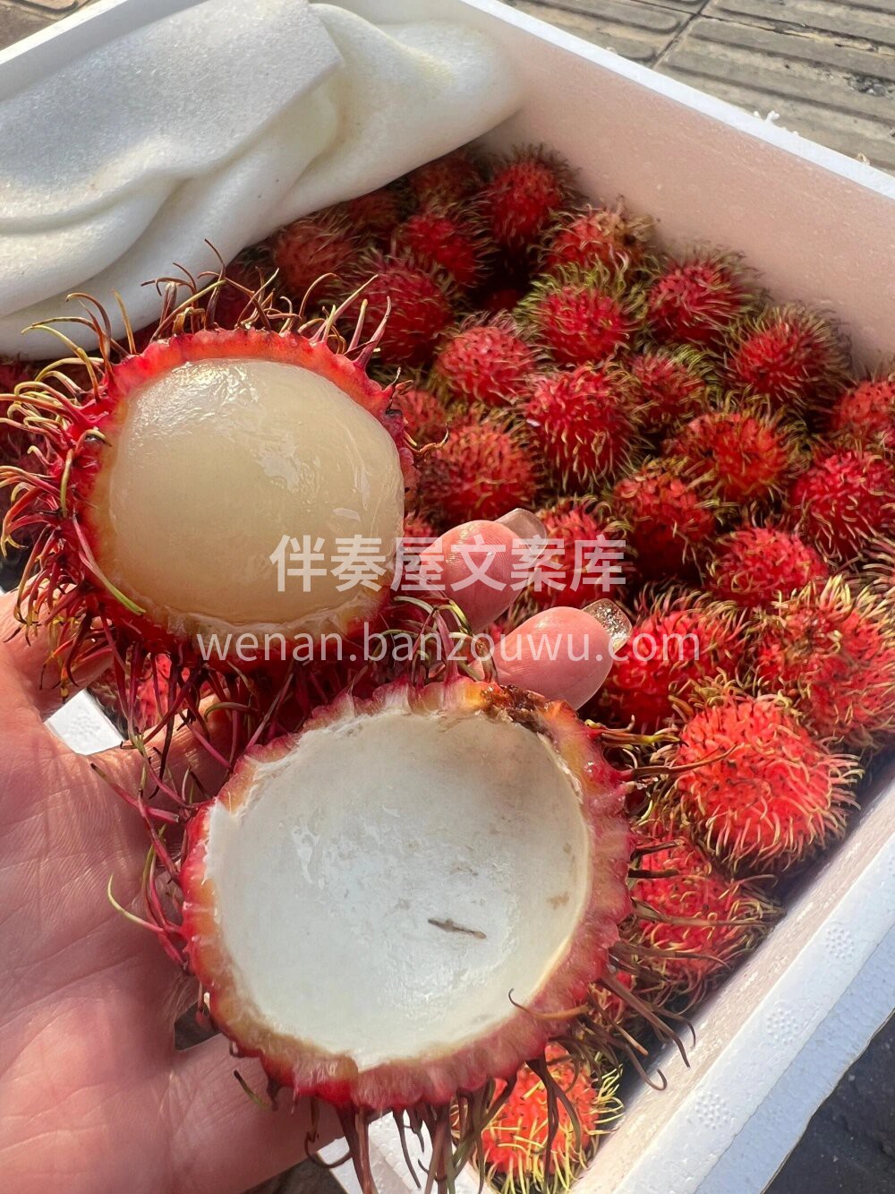 🌱🌱春天你好😘愿一切美好，都如约而至～  配图2