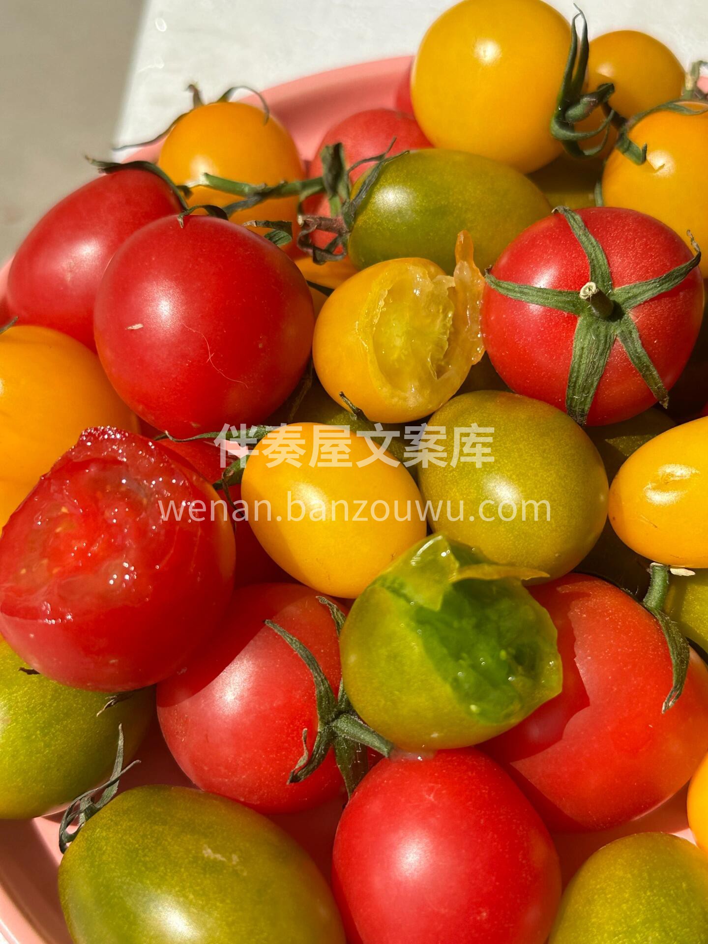 夏天的快乐开始啦❗️ 【🌈多彩小番茄】  配图1