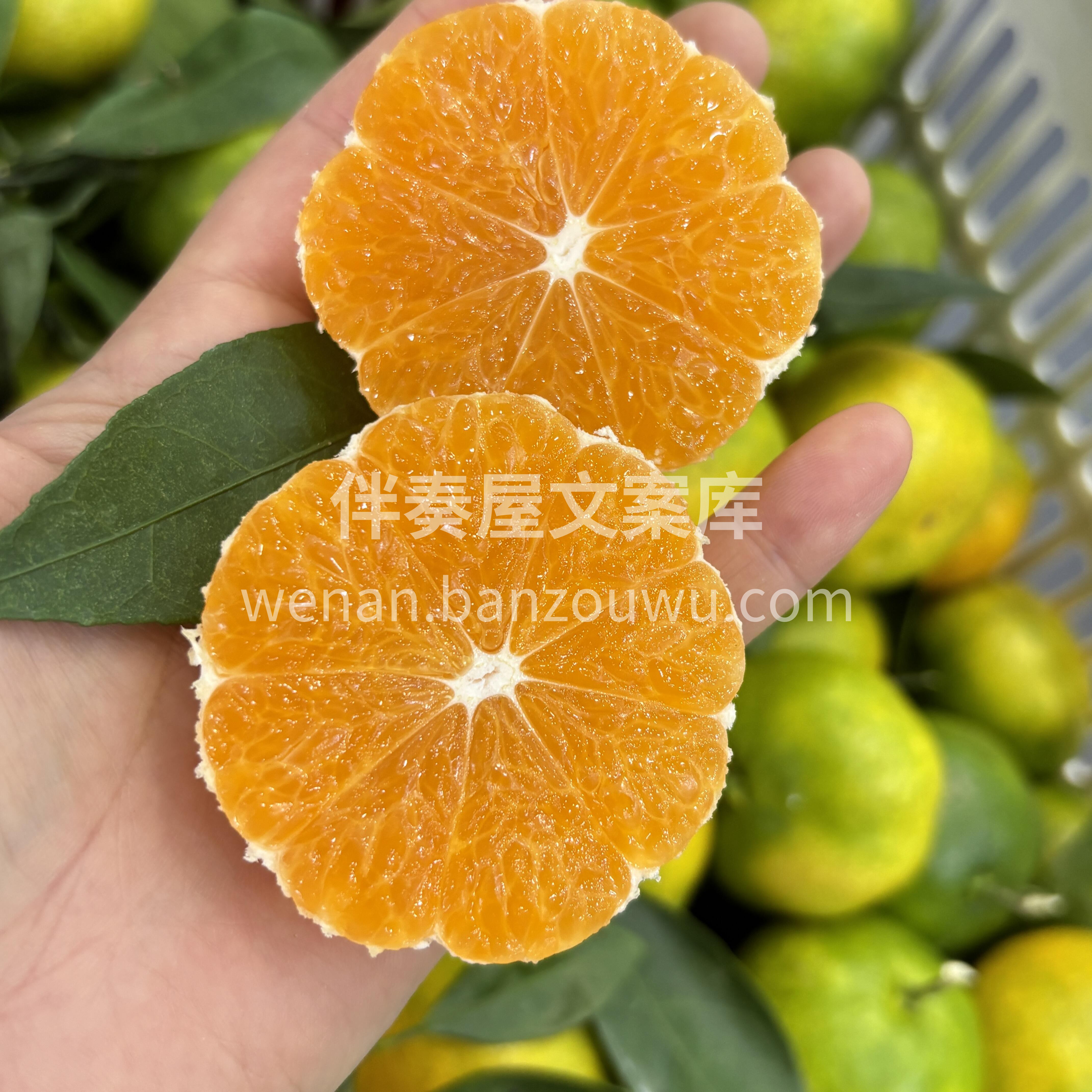 🍂秋天的第一颗蜜橘🍊 皮薄肉厚，酸甜多汁 配图2
