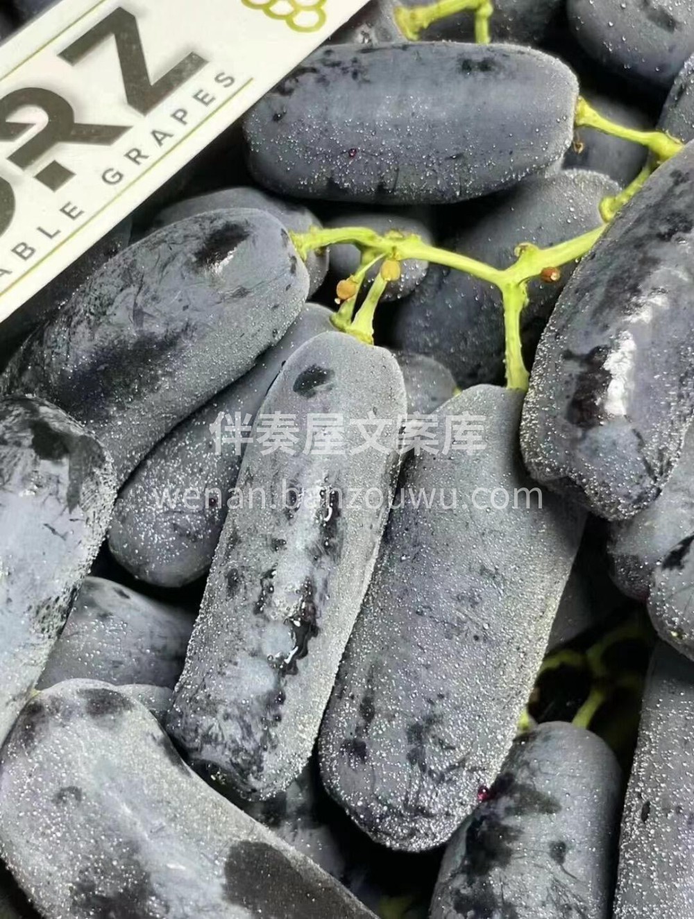 💚来自国内的月光之泪金手指🍇 ☀阳光下的 配图2