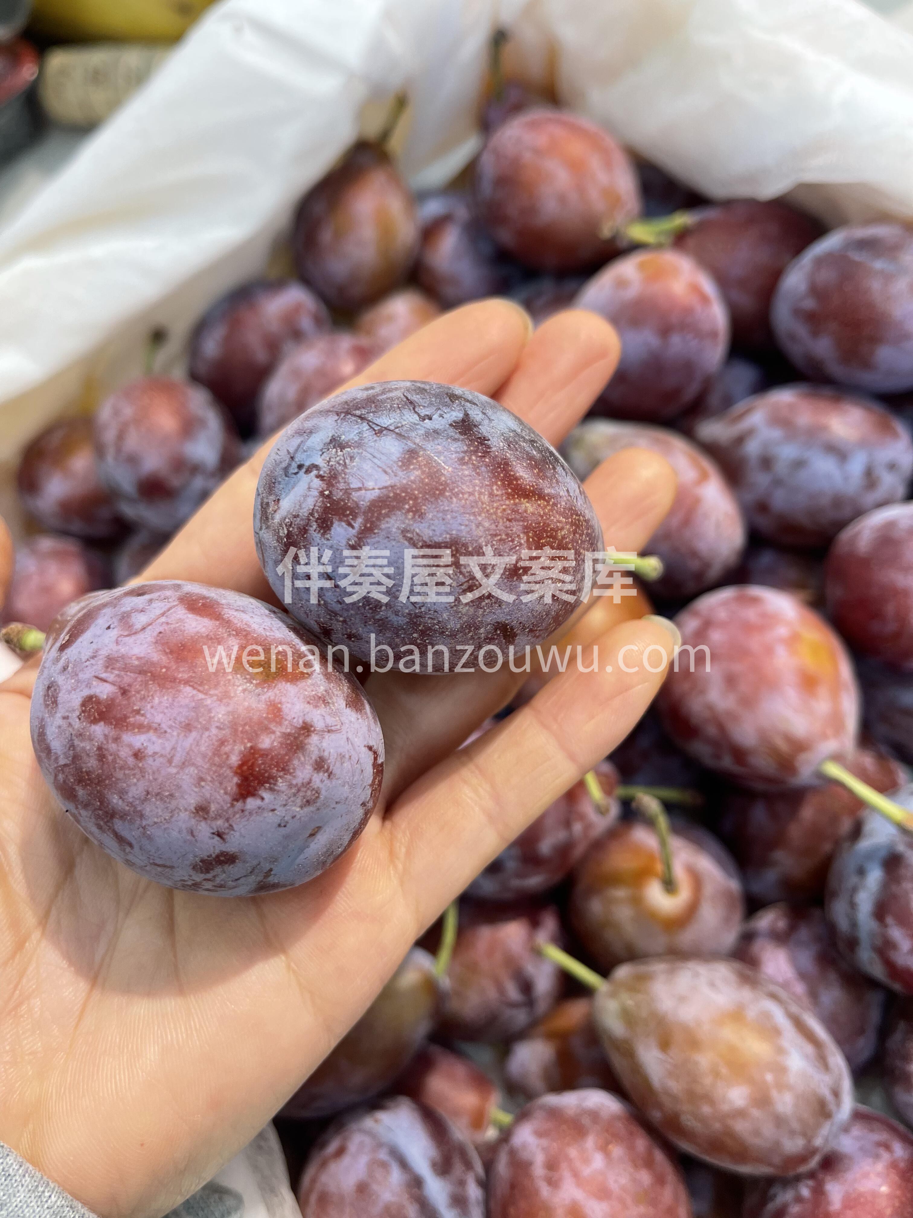 甜蜜多汁的西梅🌷，外脆内弹 这个春天一定 配图1