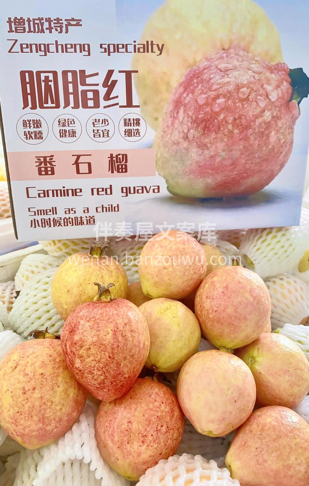 胭脂红芭乐香迷糊了😍软软糯糯的胭脂红芭乐 配图2