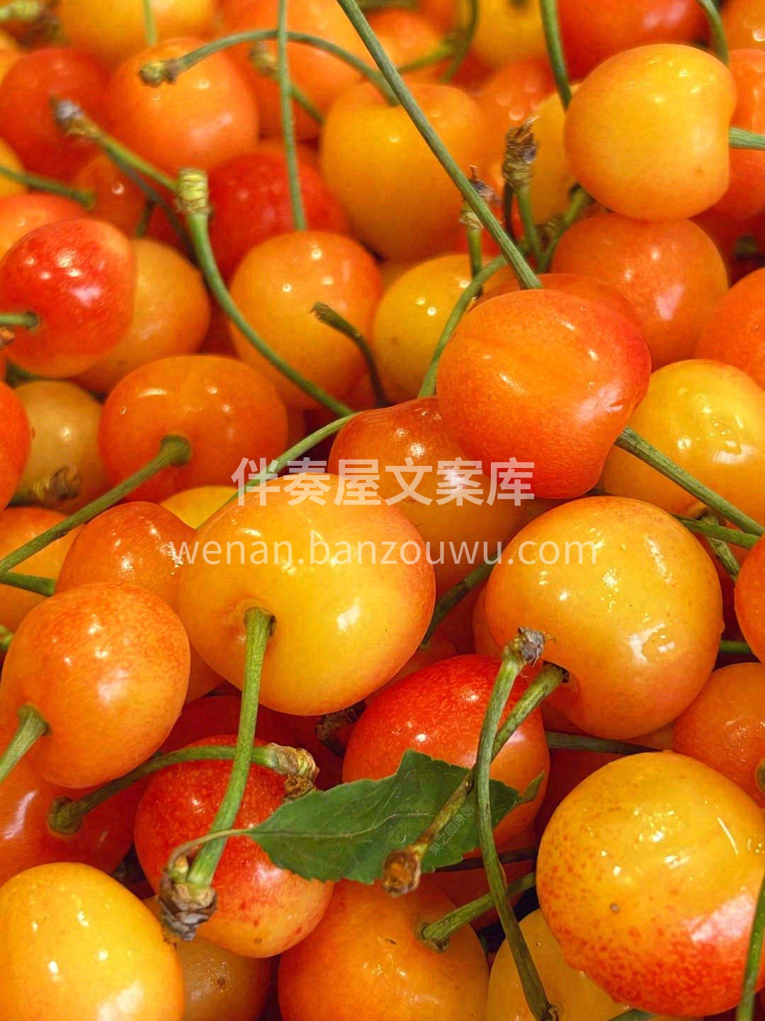 ✨汁水饱满，肉厚核小，口感爽脆💥 入口清 配图2