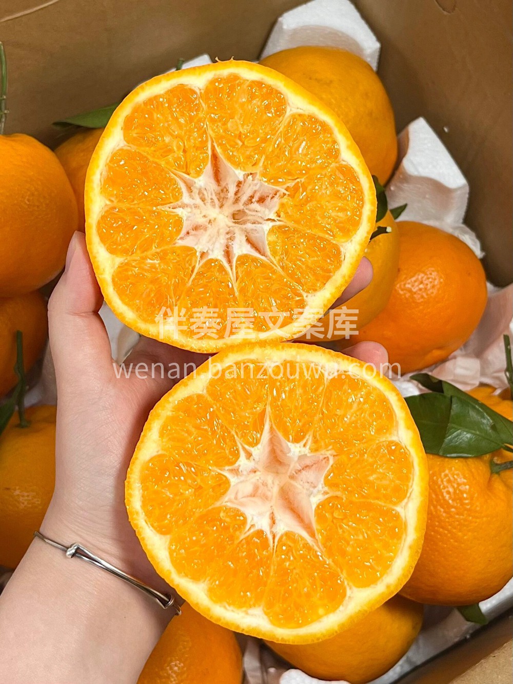 ☘️愿大家这个冬天都是橘子的浪漫！ 🍊希 配图1