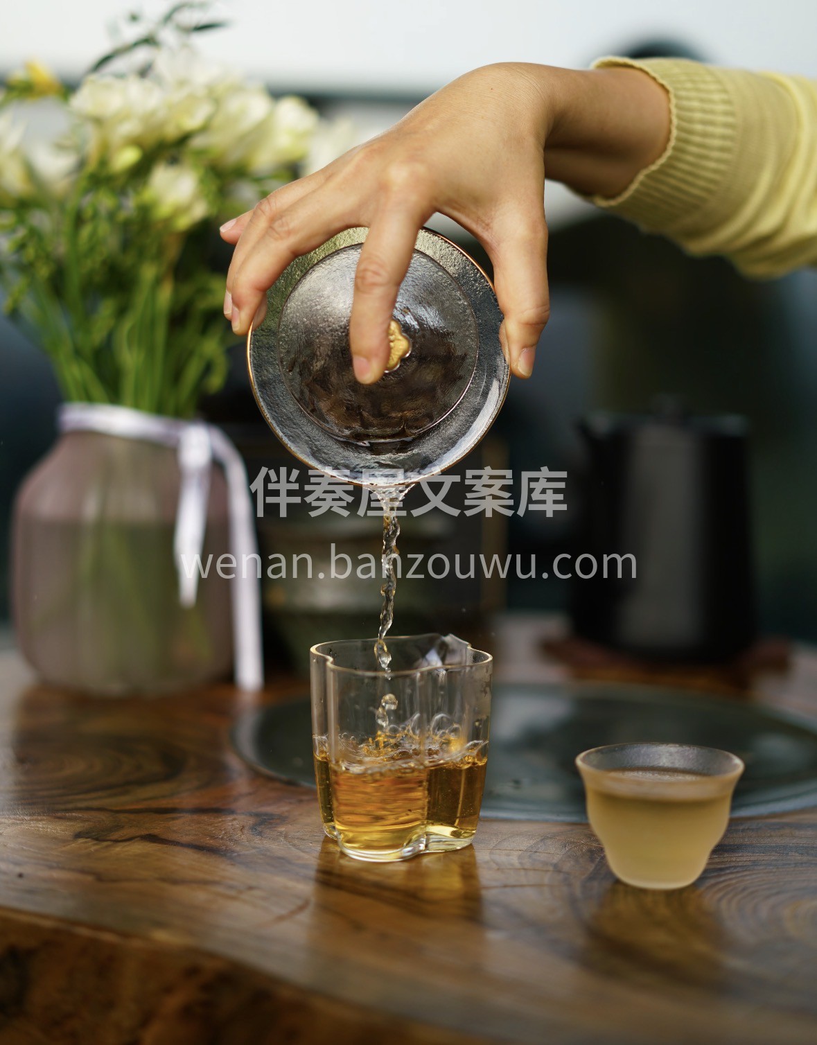 冬日围炉正当时🔥 一杯福鼎白牡丹，毫香蜜 配图2
