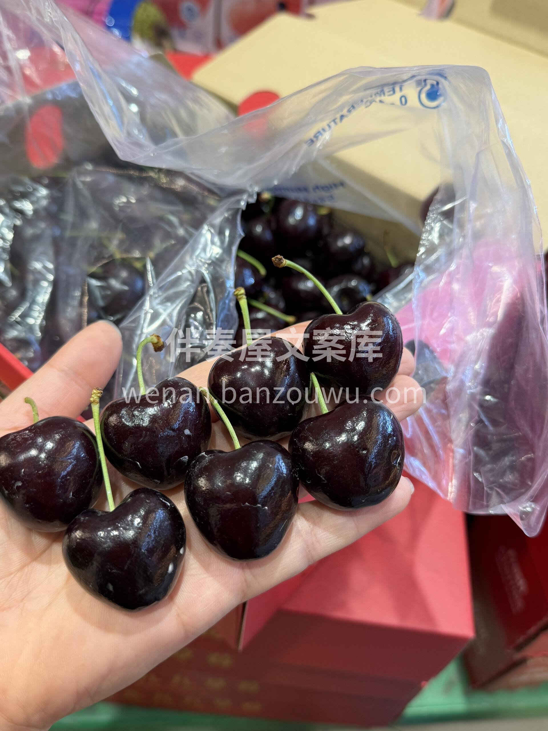空运桑提娜车厘子除了品质💎，我没什么能给 配图2