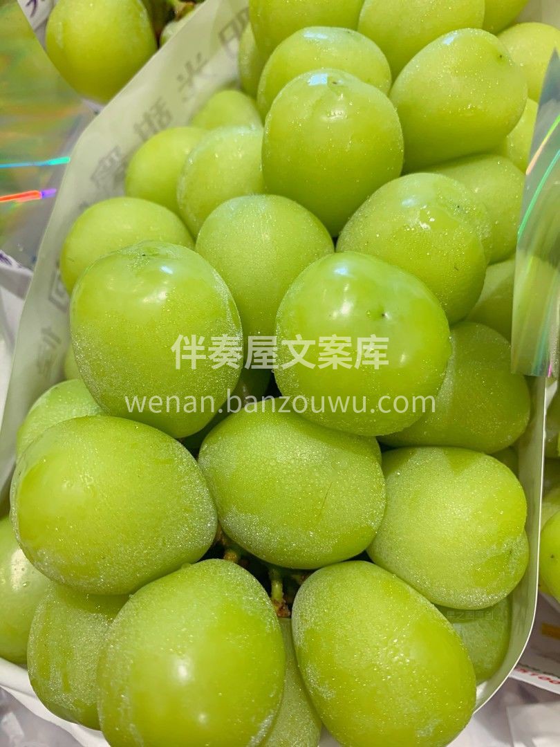 😍1颗阳光玫瑰的快乐，是10串普通青提都 配图1