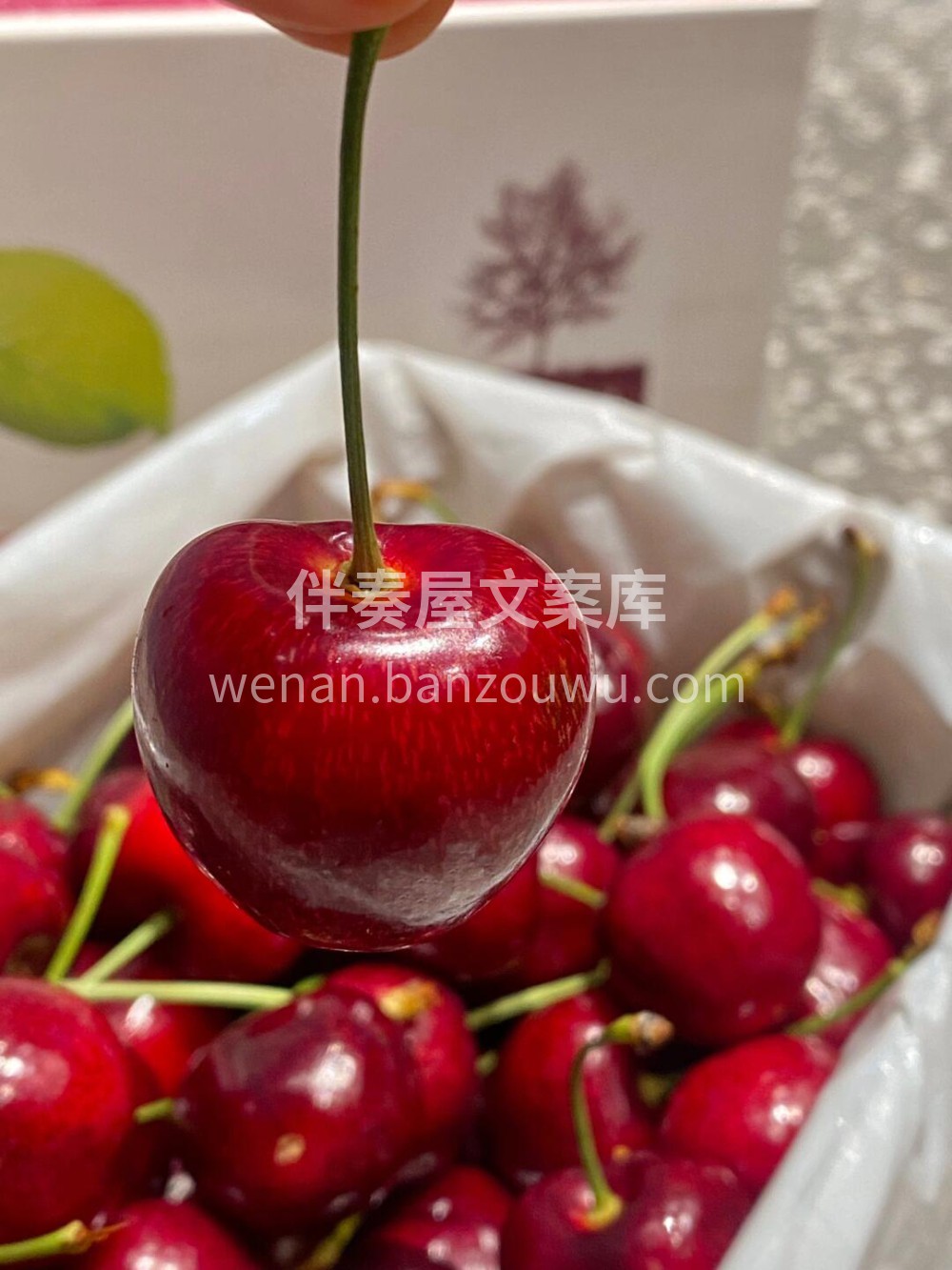 奥塔哥红车🍒来自纯净国度新西兰🇳🇿 🌳入 配图2