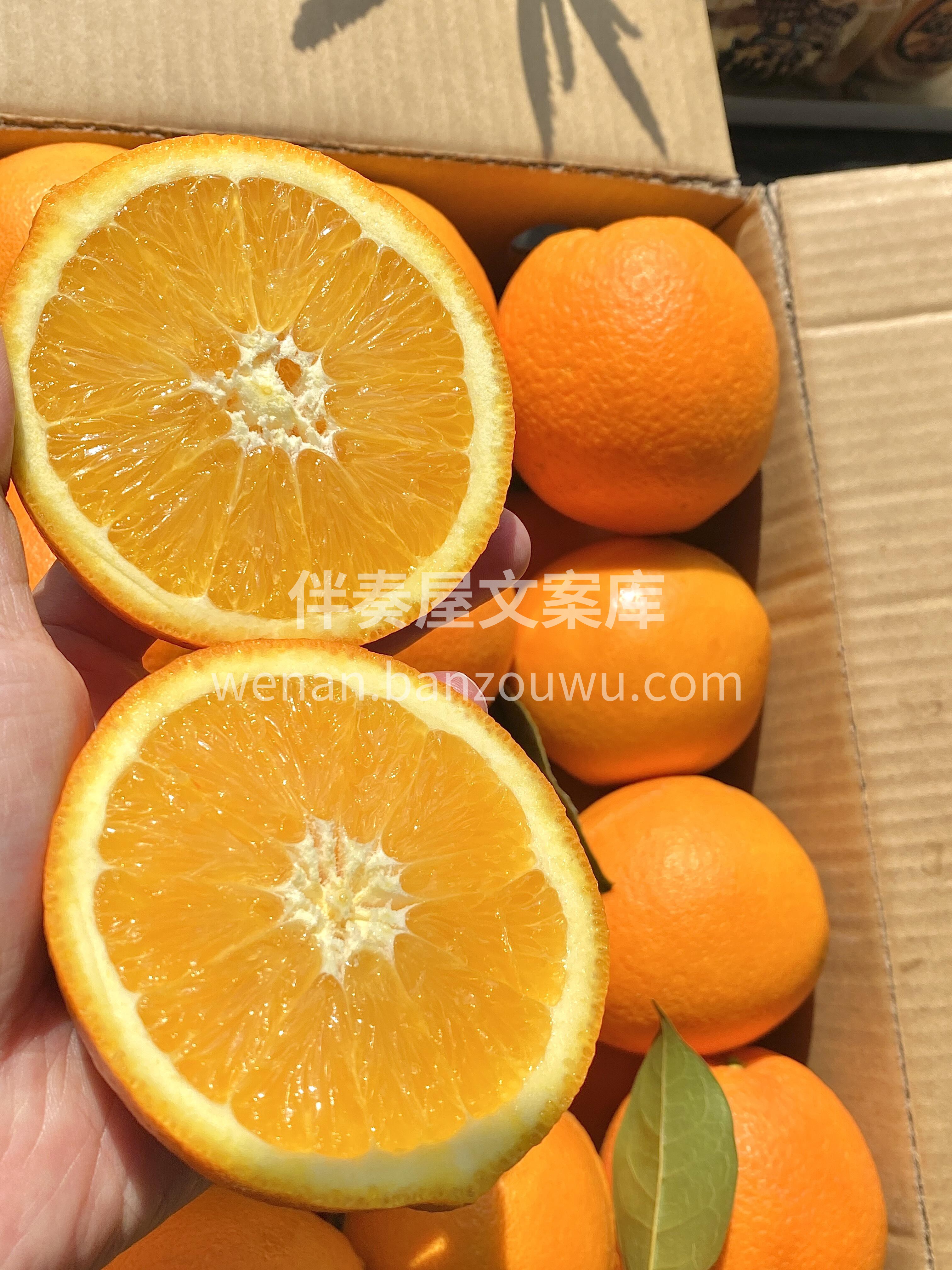 🍁一个脐橙，一整天的烦恼🥰，统统都能被这 配图1