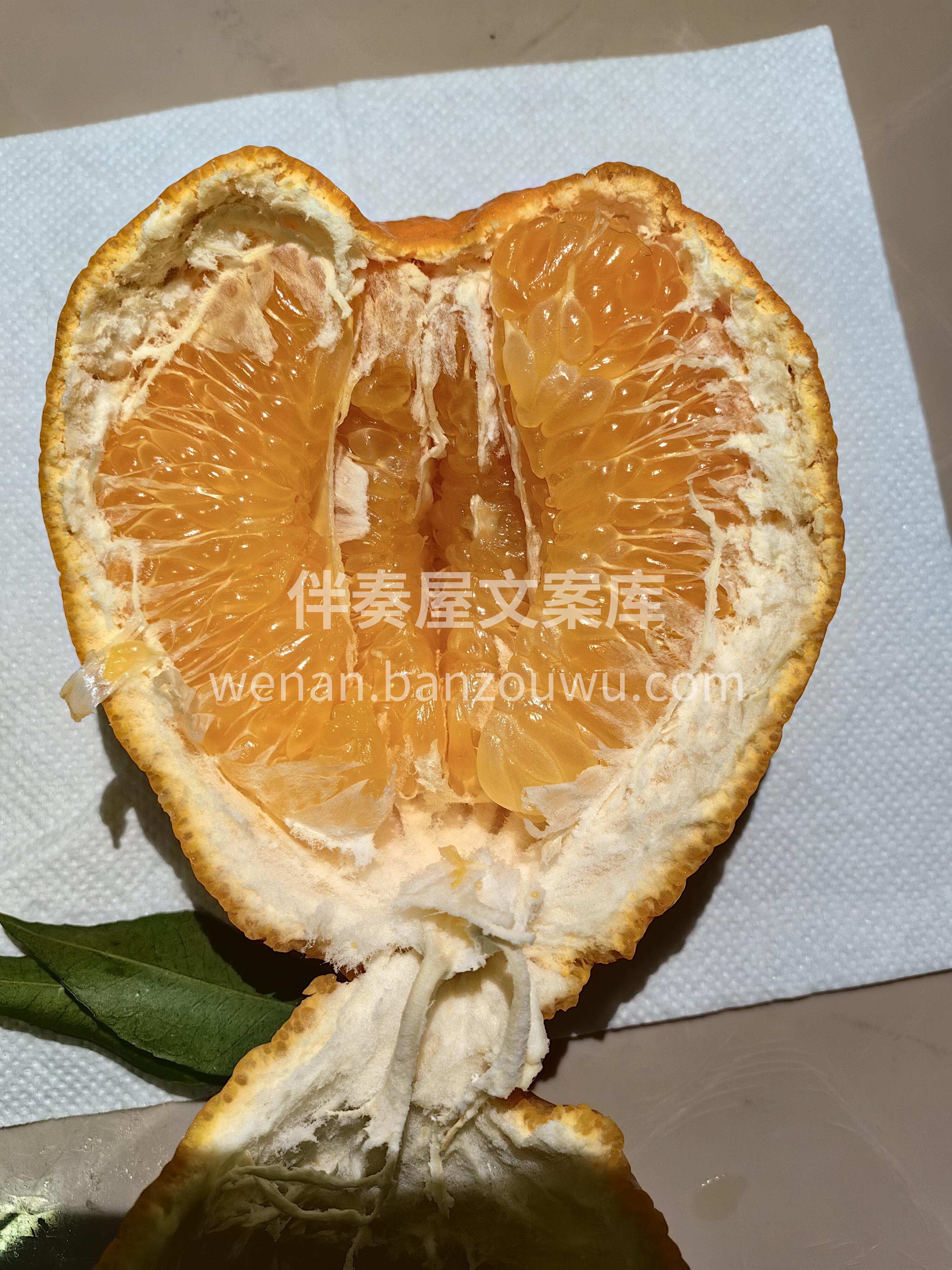 🍊 春见耙耙柑正当红！ 果皮软软一剥就开 配图3