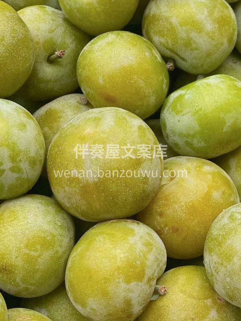 蜂糖李 舌尖上的诱惑 😘一口下去惊艳你的 配图3